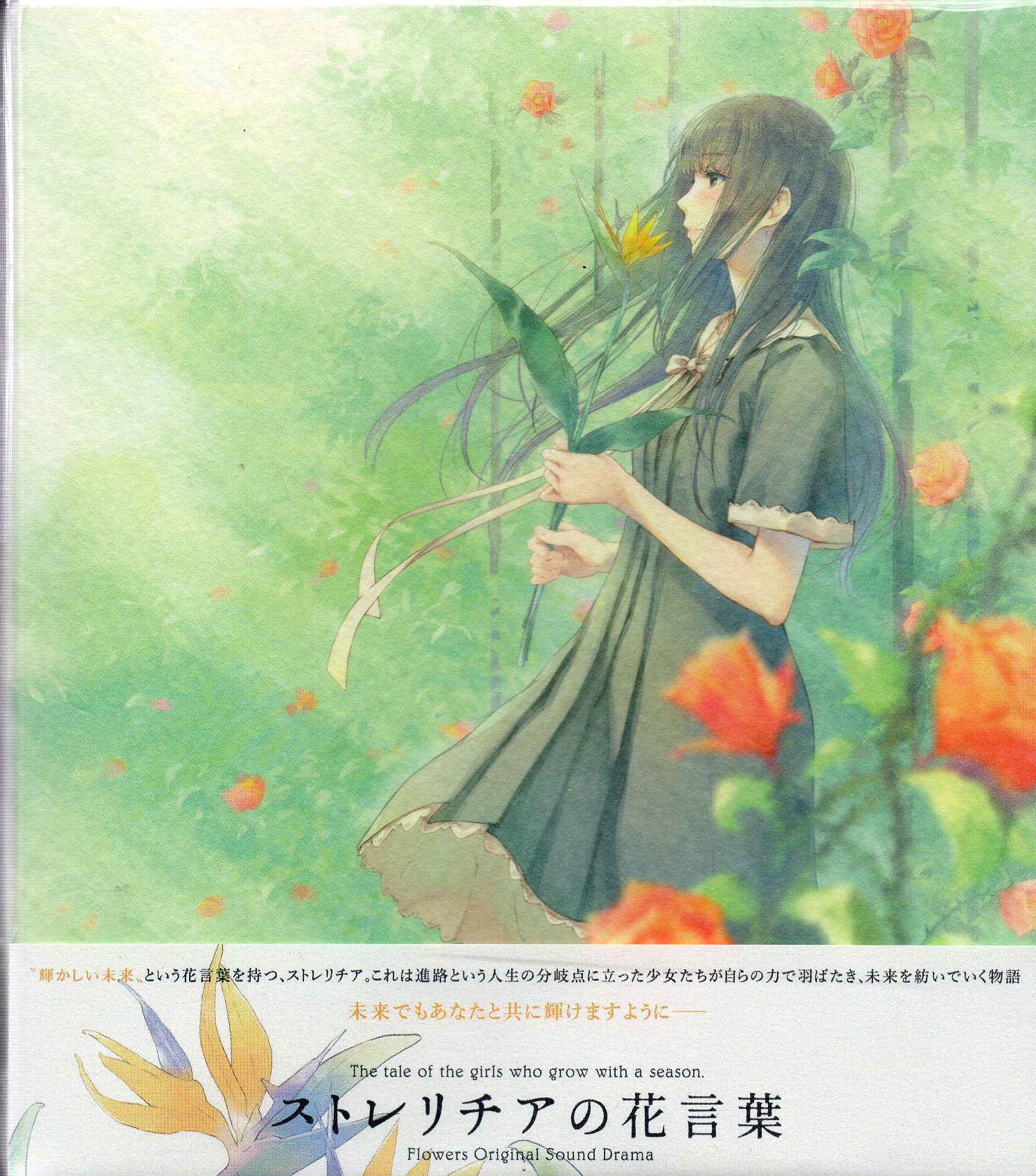 セール 正規品 Flowers ストレリチアの花言葉 アニメ