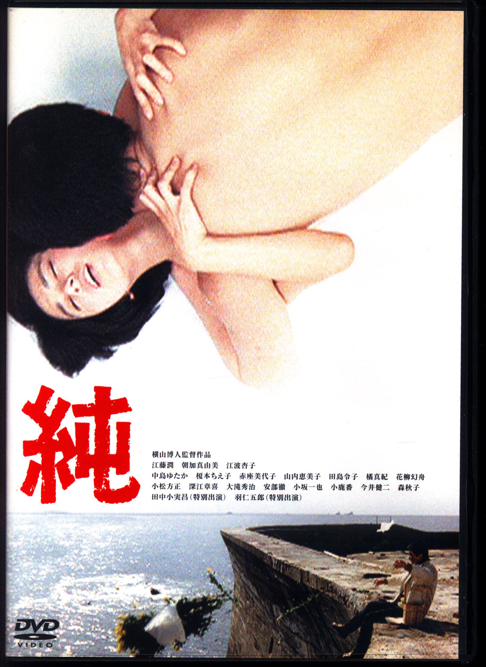 純」DVD 横山博人 江藤潤 朝加真由美 希少 激レア - 日本映画