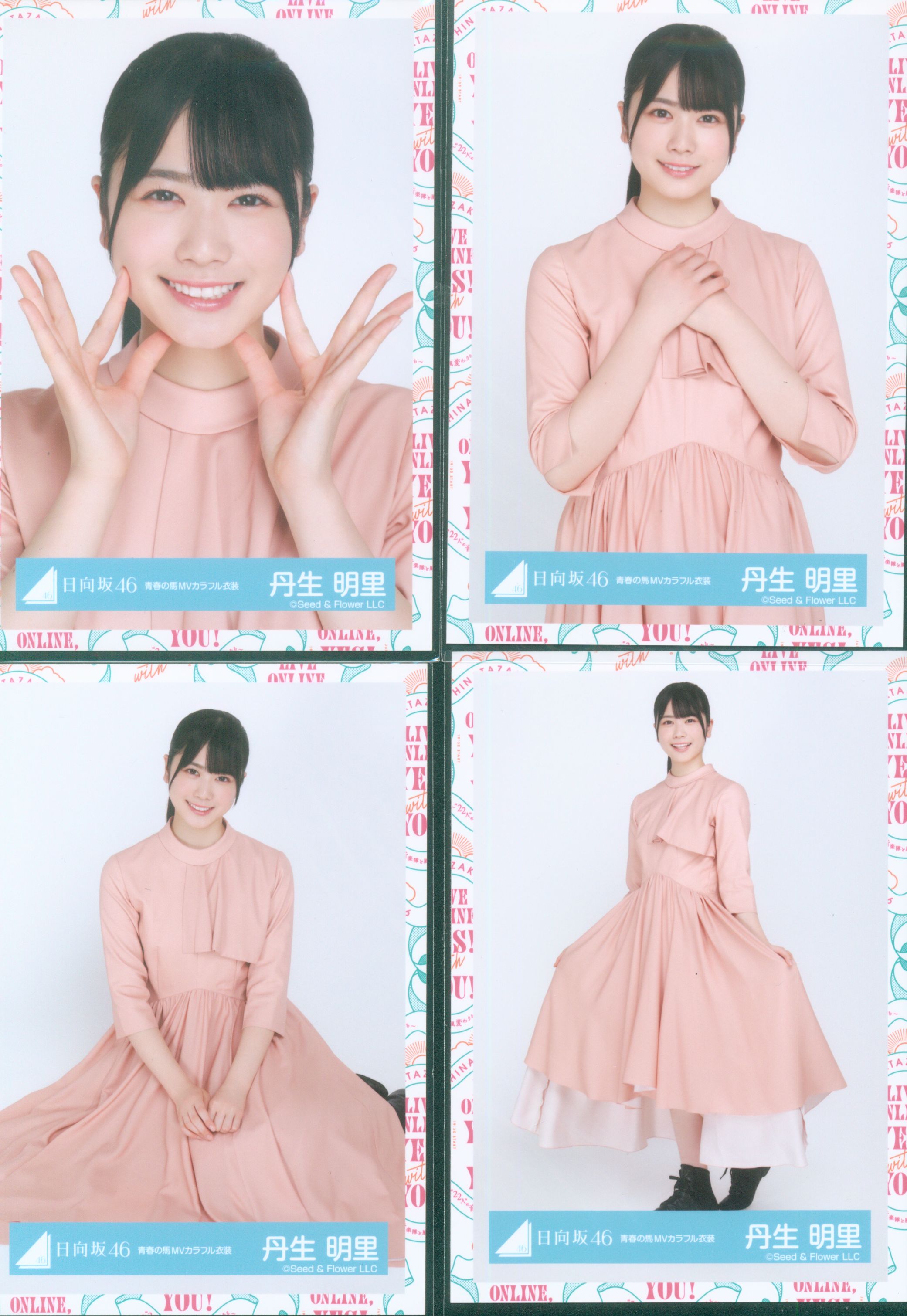 日向坂46 ランダム生写真 丹生明里 青春の馬MVカラフル衣装 コンプ | Mandarake Online Shop