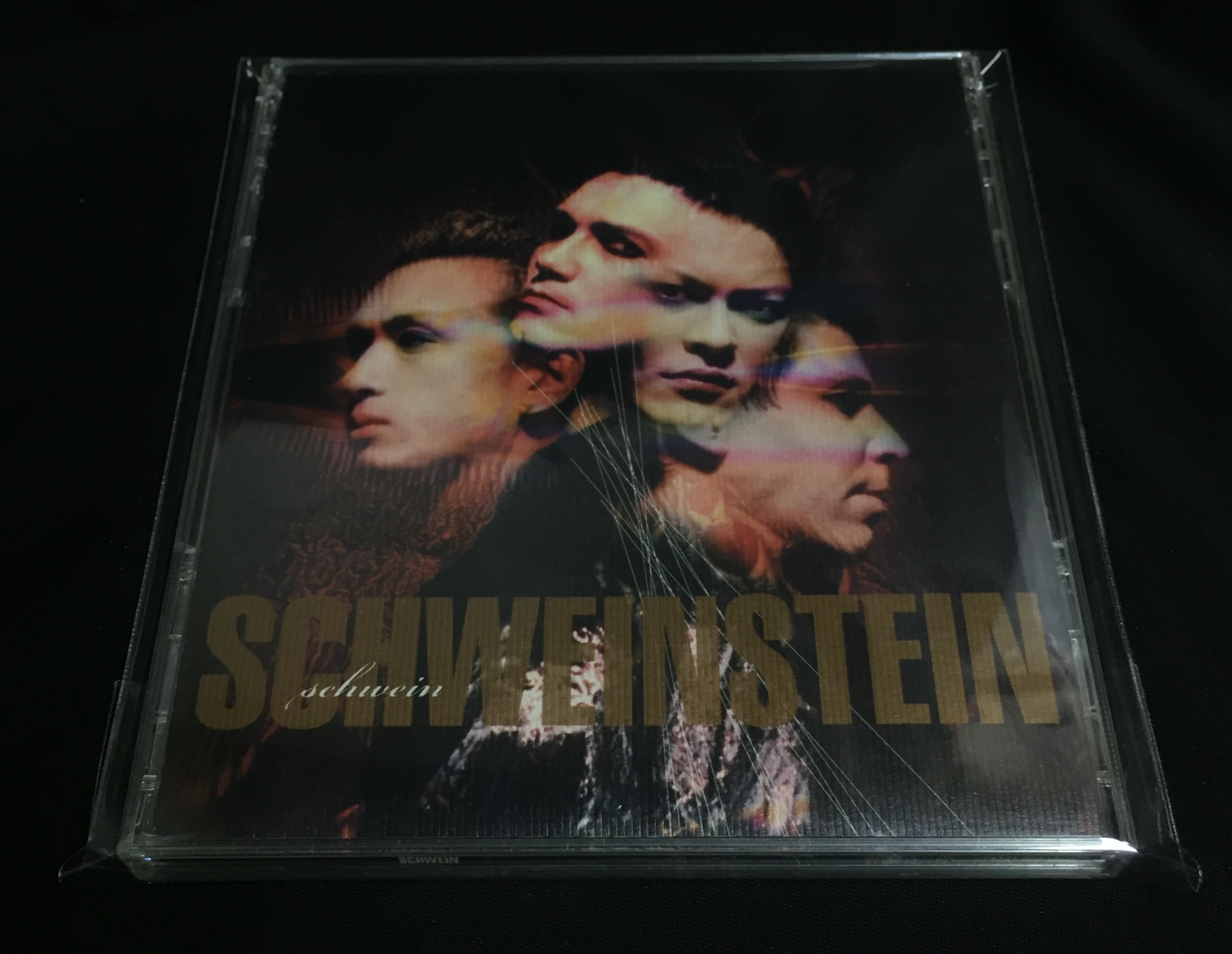 SCHWEIN【SCHWEIN FEST JAPAN TOUR 2001】写真集 - southcoastlifts.co.uk