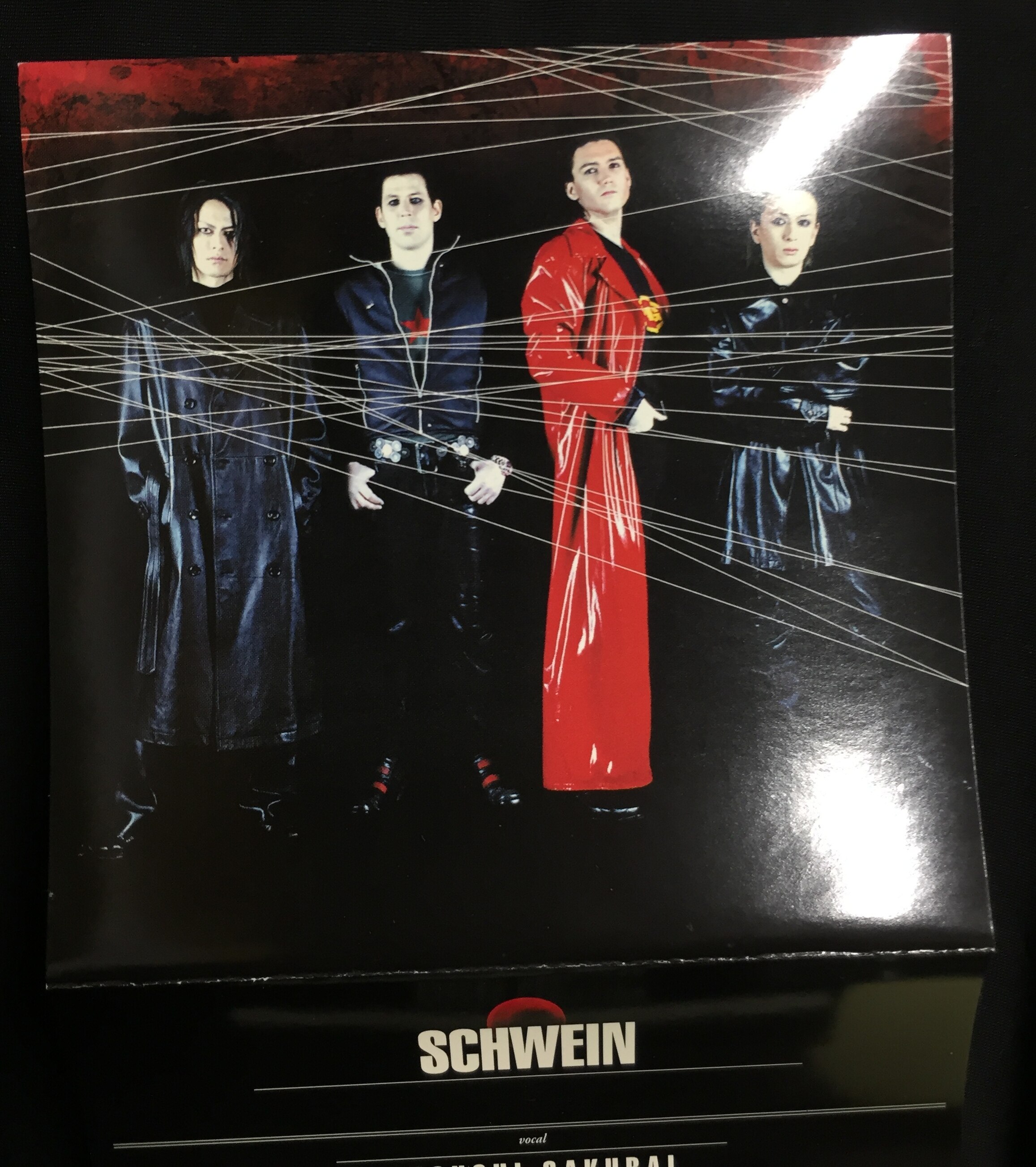 SCHWEIN CD SCHWEINSTEIN | ありある | まんだらけ MANDARAKE