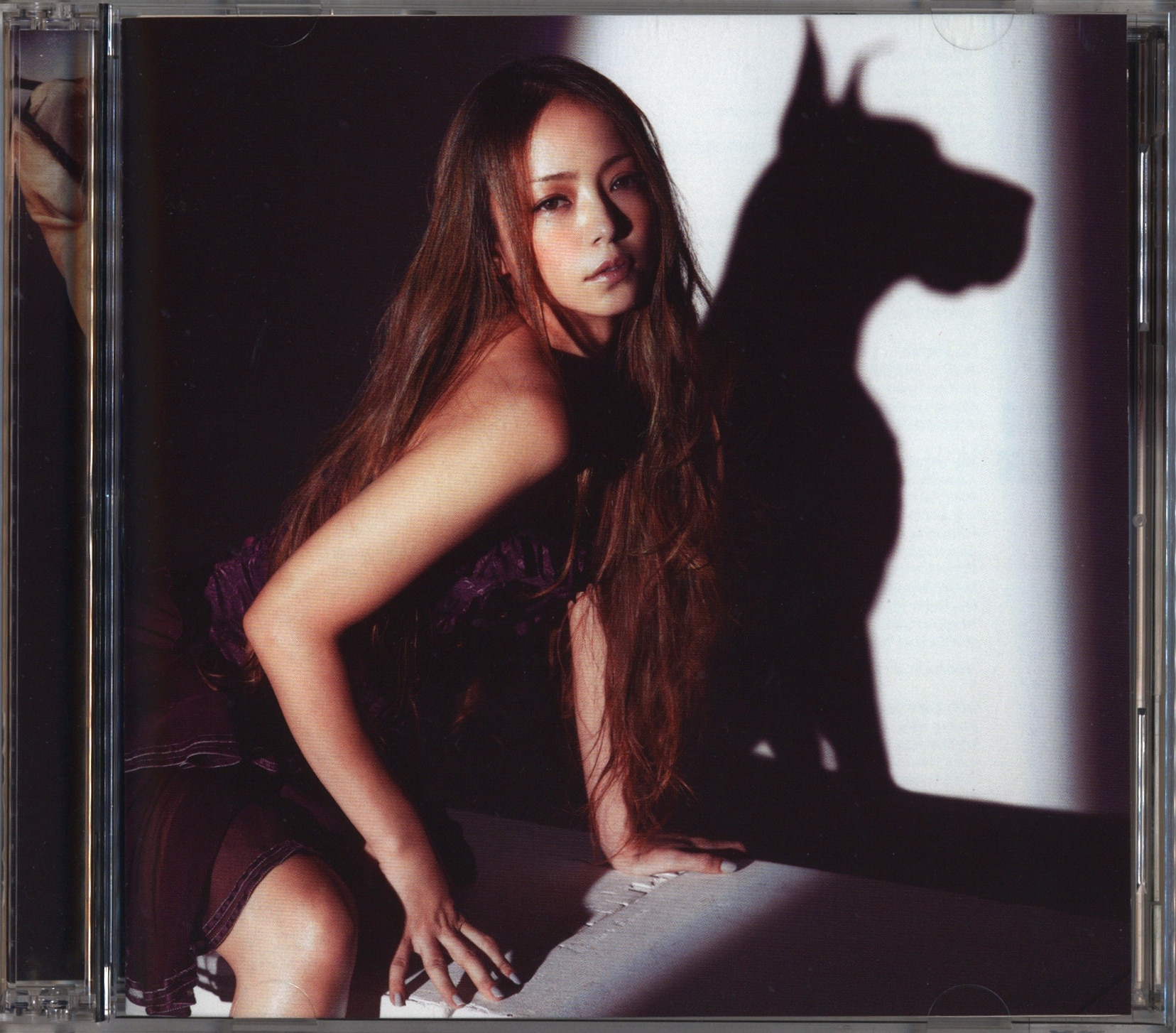 Cd Dvd 安室奈美恵 Sit Stay Wait Down Love Story まんだらけ Mandarake