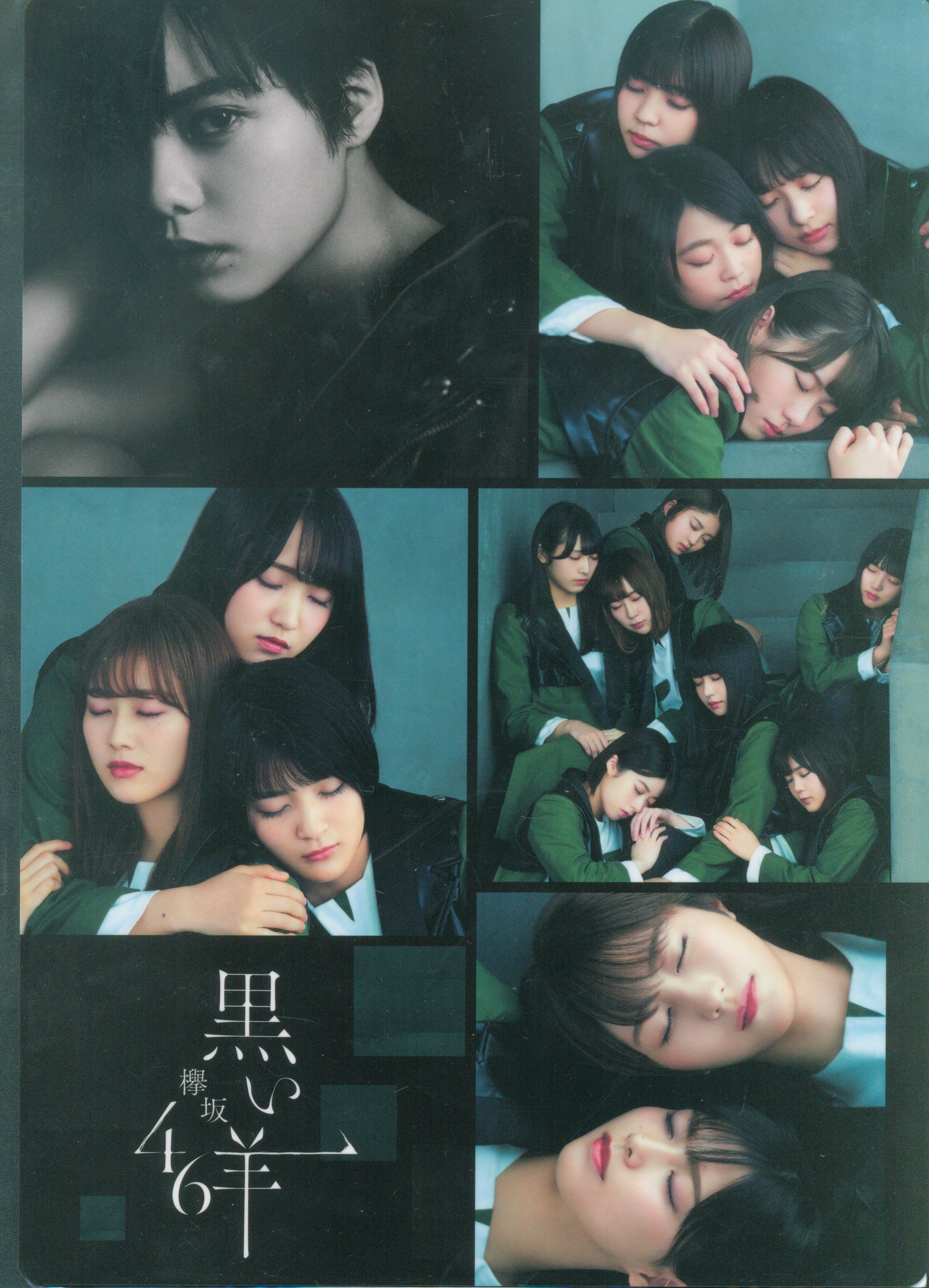 欅坂46 ローソンオリジナルグッズ 黒い羊 下敷き | Mandarake Online Shop 