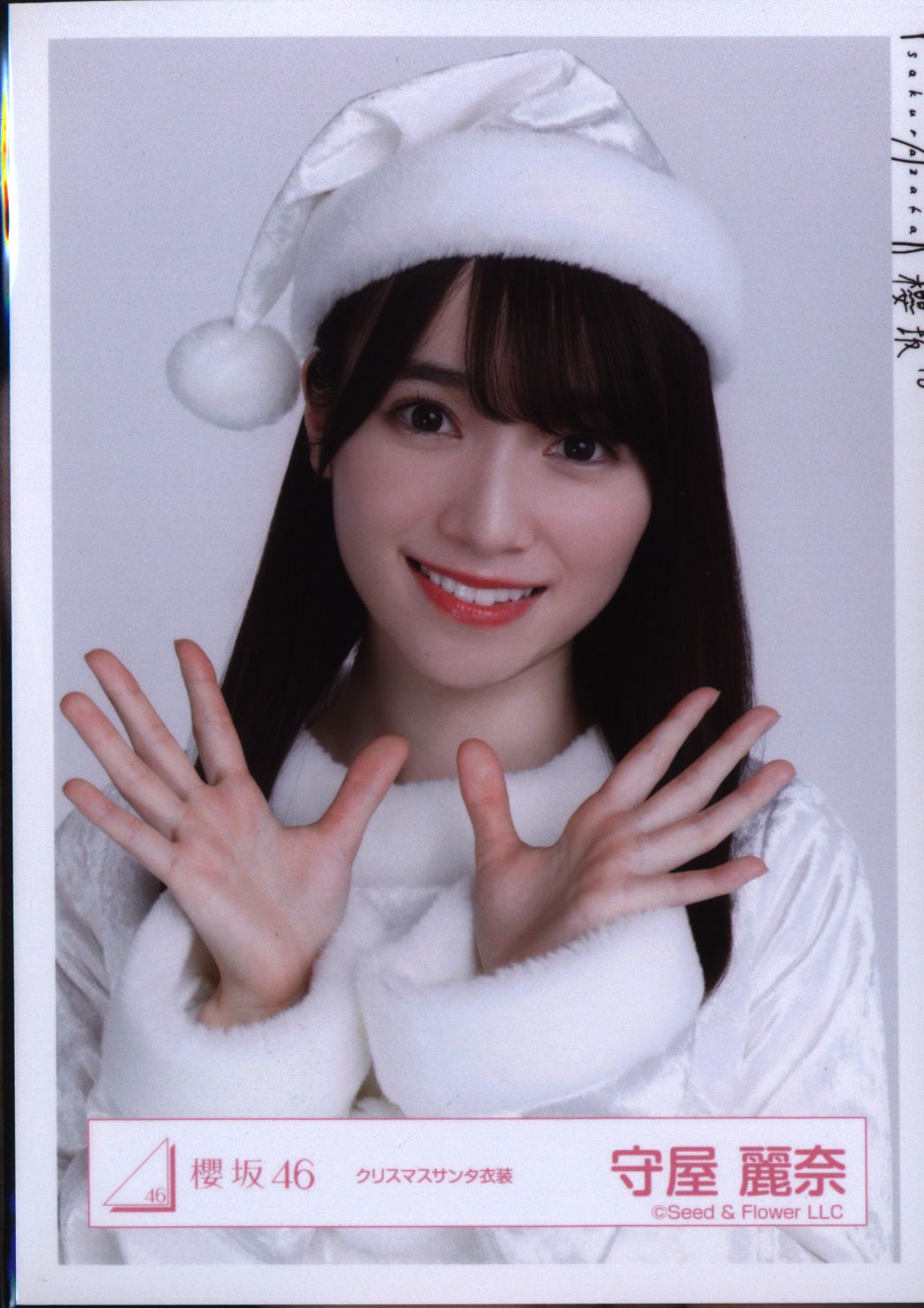 櫻坂46 守屋麗奈 クリスマスサンタ衣装 ヨリ | まんだらけ Mandarake