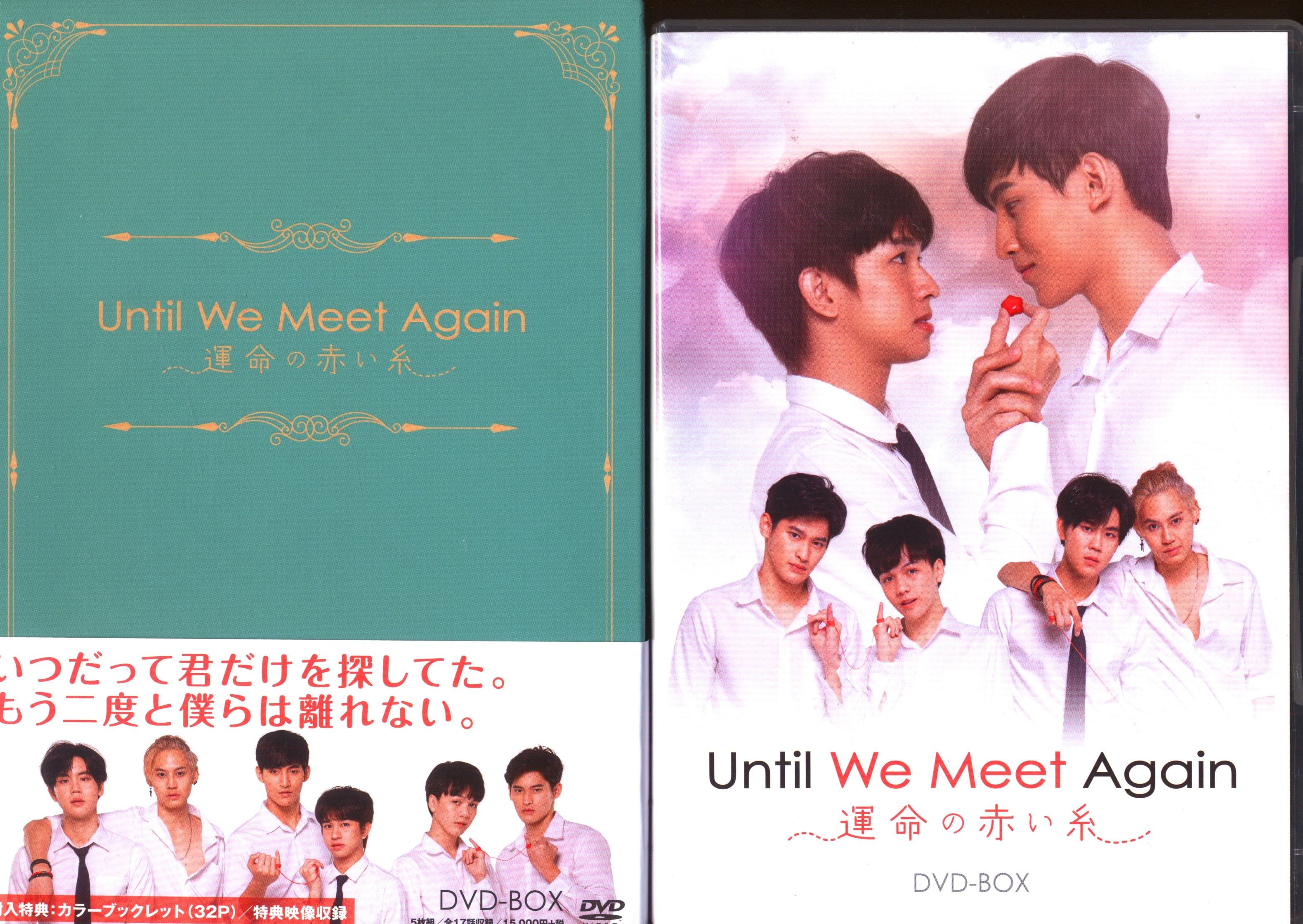 Until We Meet Again ～運命の赤い糸～ DVD-