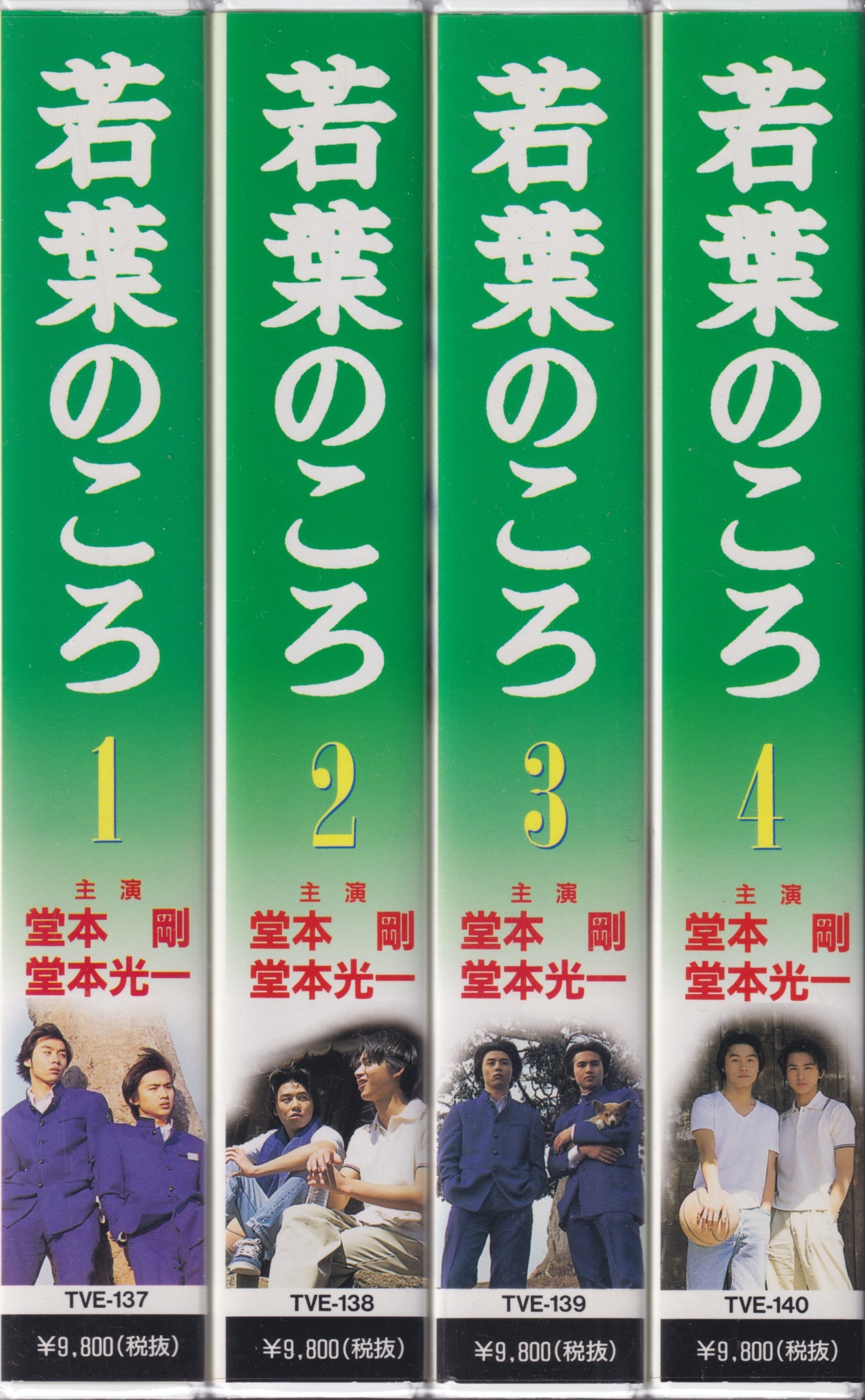 若葉のころ DVD 全巻セット 堂本剛 堂本光一 KinKi Kids 卓越 - TVドラマ