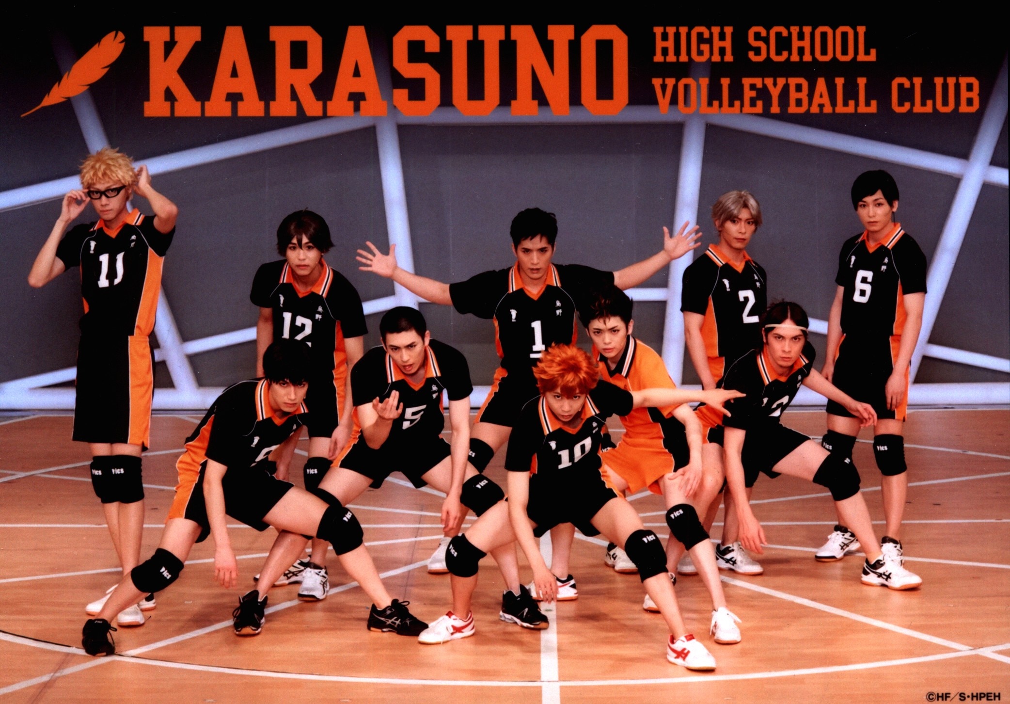 Laminated Haikyuu Poster Karasuno High School Volleyball Team