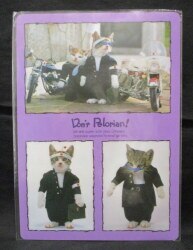 All Japan 暴猫 Union