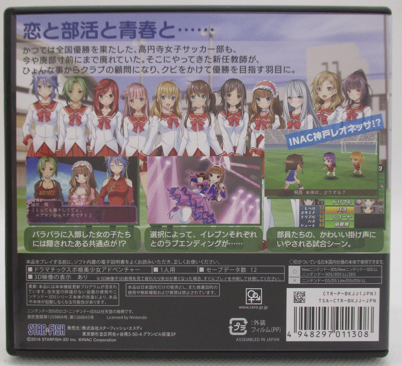 3DS 高円寺女子サッカー３ ～恋するイレブン いつかはヘブン