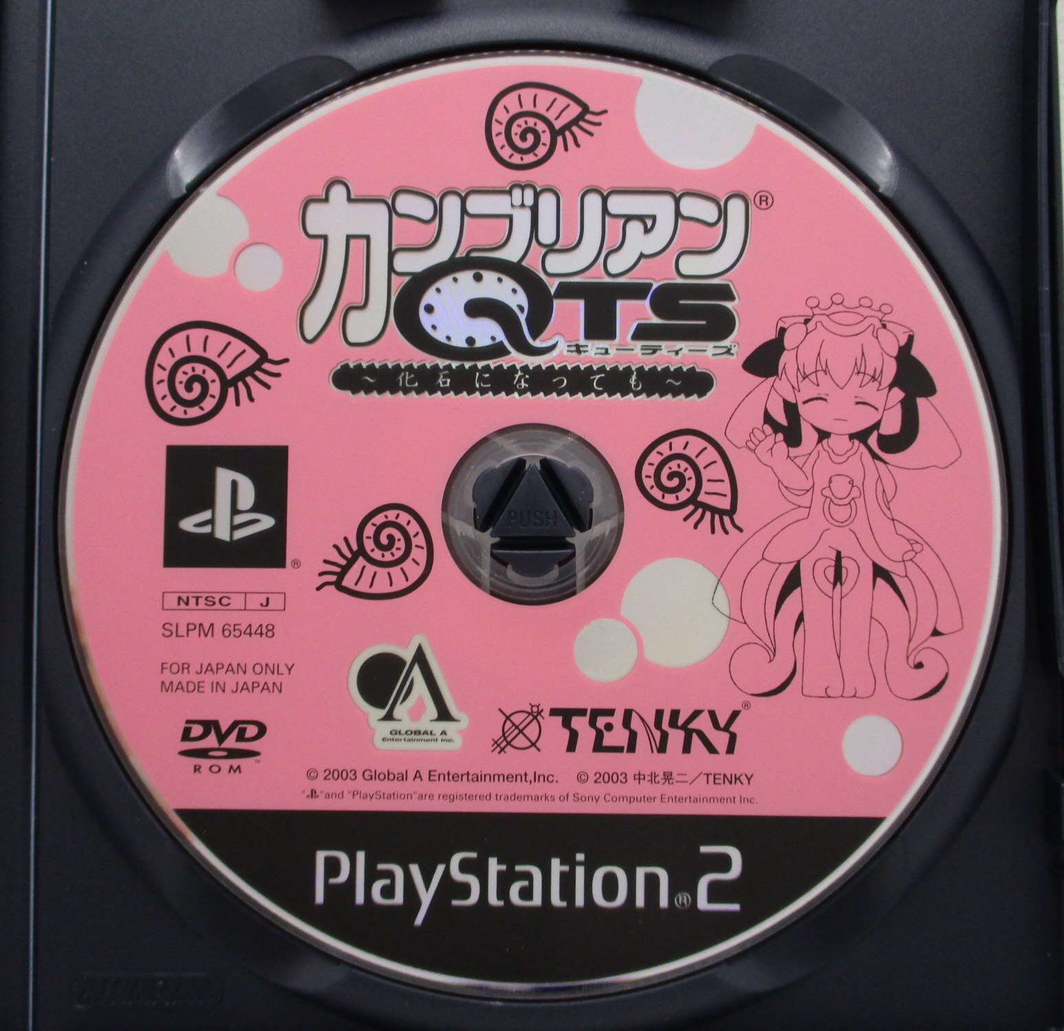 PS2 カンブリアンＱＴＳ ～化石になっても～ | まんだらけ Mandarake