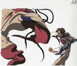 Mandarake Cels