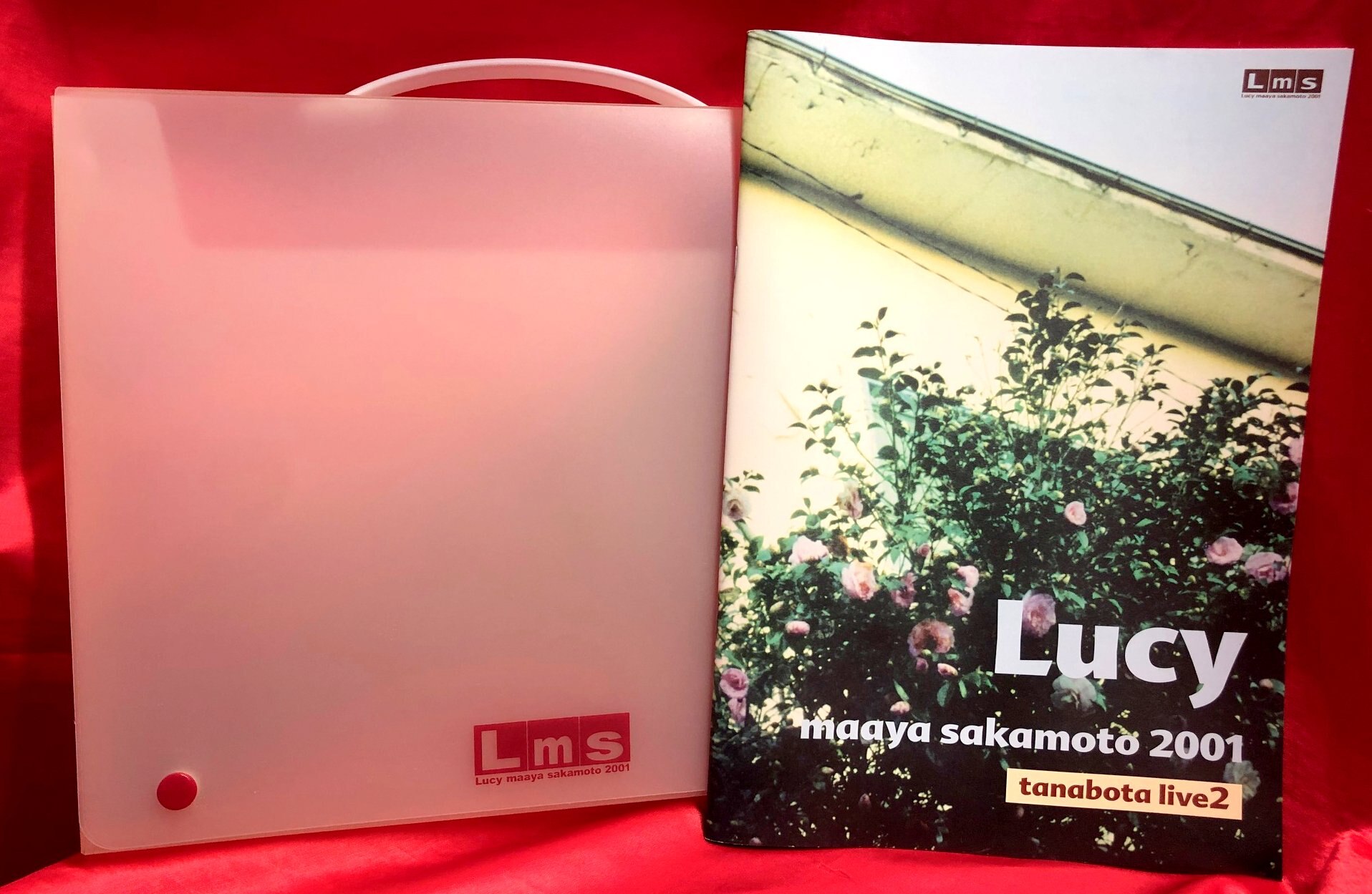 坂本真綾 tanabota live 2 Lucy パンフレット タナボタ 坂本真綾