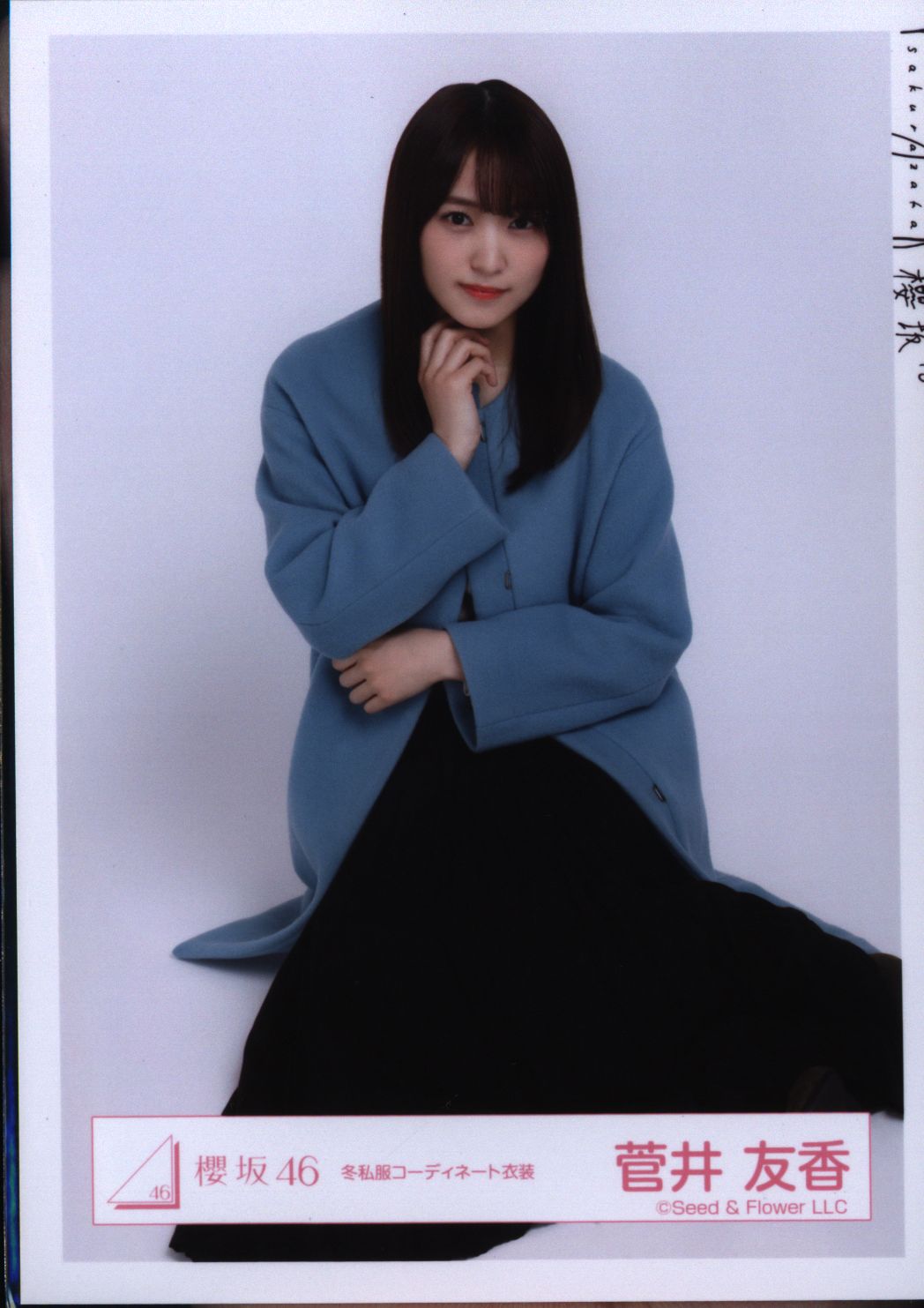 櫻坂46 生写真 菅井友香 冬私服コーディネート衣装 座り まんだらけ Mandarake