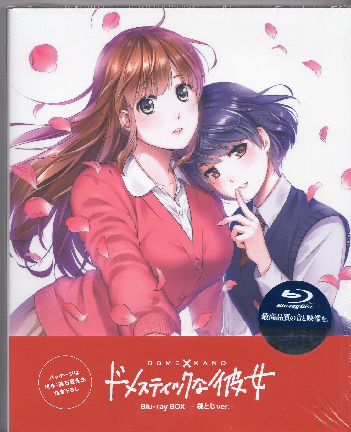 Anime Blu-Ray Blu-ray BOX Domestic Girlfriend ver