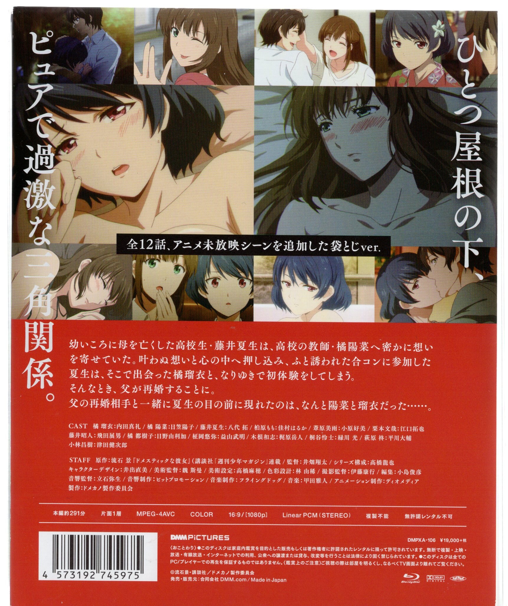 Pictures Dmm Anime Blu Ray Domestic Girlfriend Blu Ray Box Bag Flip Ver Mandarake Online Shop