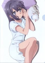 Seishun Buta Yarou wa Randoseru Girl no Yume o Minai - Sakurajima Mai -  Tapestry (Anibox, Don Quijote, Legs Company)