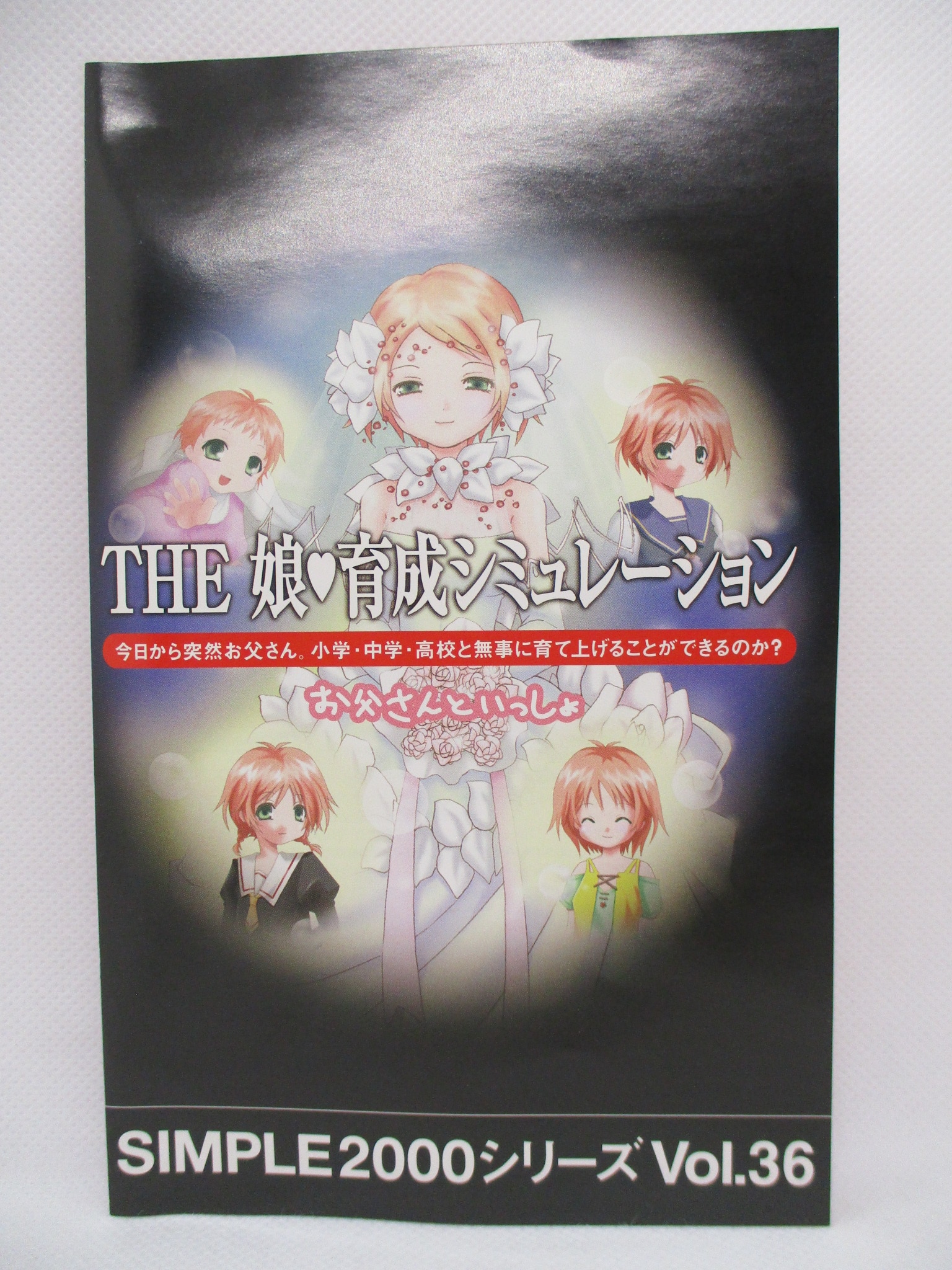 PS2 THE 娘育成シミュレーション ～お父さんといっしょ～