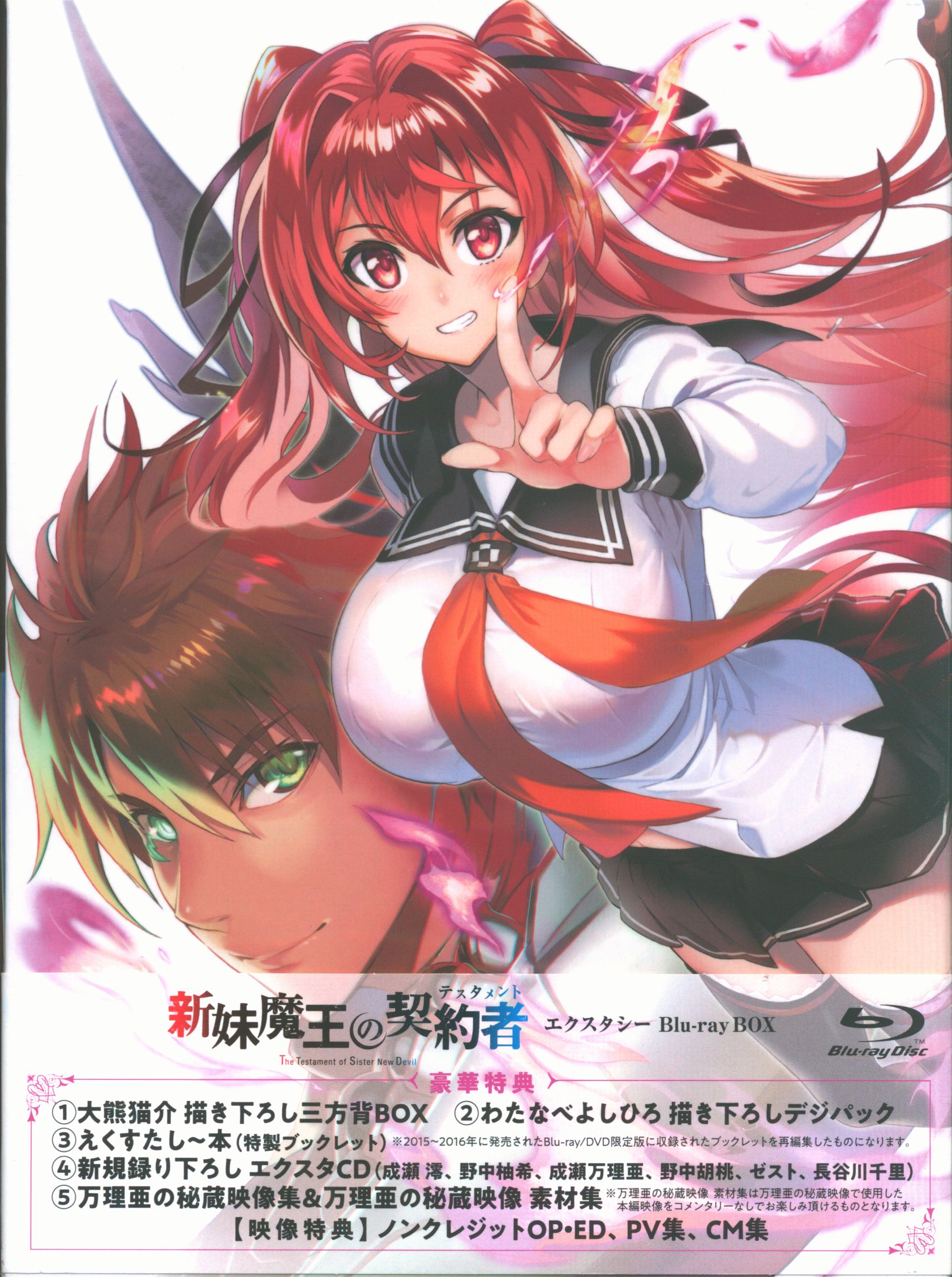 Anime Blu Ray The Testament Of Sister New Devil Ecstasy Blu Ray Box Mandarake 在线商店
