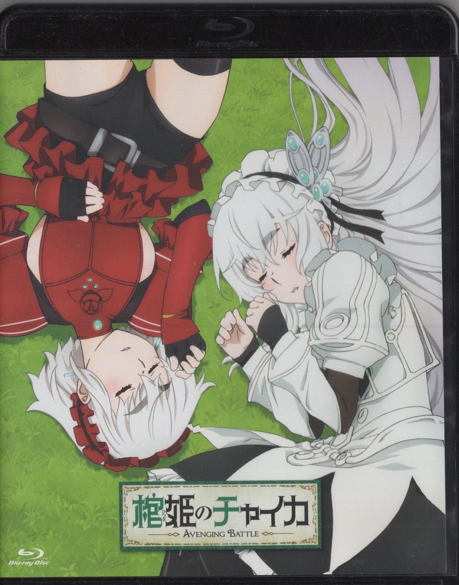 Amazon.com: Chaika-The Coffin Princess Anime Fabric Wall Scroll Poster (16  x 23) Inches [ACT]- Chaika Coffin-10: Posters & Prints