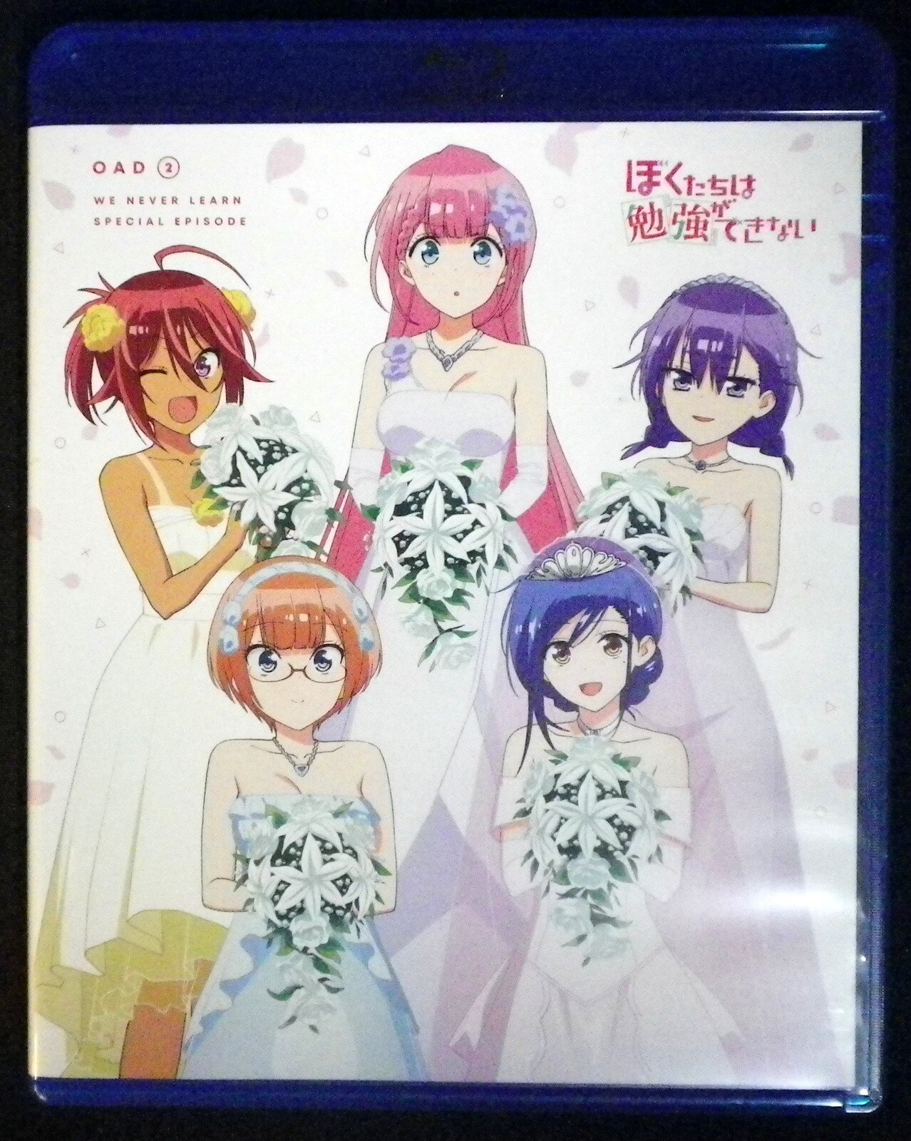 Anime Blu-Ray OAD We Never Learn (Boku-tachi wa Benkyou ga Dekinai) 2 |  Mandarake Online Shop