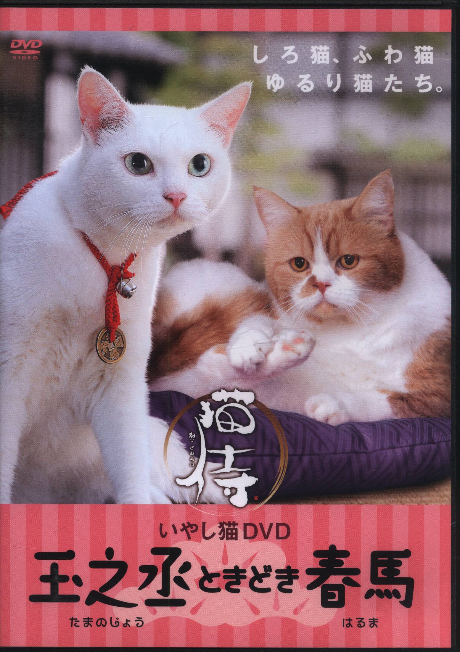 いやし猫DVD 猫侍 玉之丞ときどき春馬 [DVD]