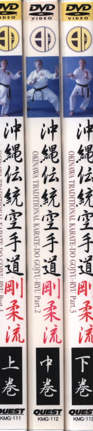 DVD 沖縄伝統空手道 剛柔流 全3巻揃い 通販オンライン ショップ その他