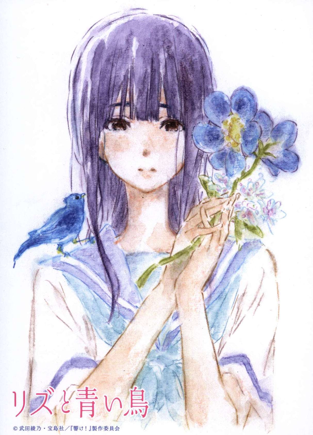 比較検索 リズと青い鳥 線画集 西尾大志監修 | cq.co.nz