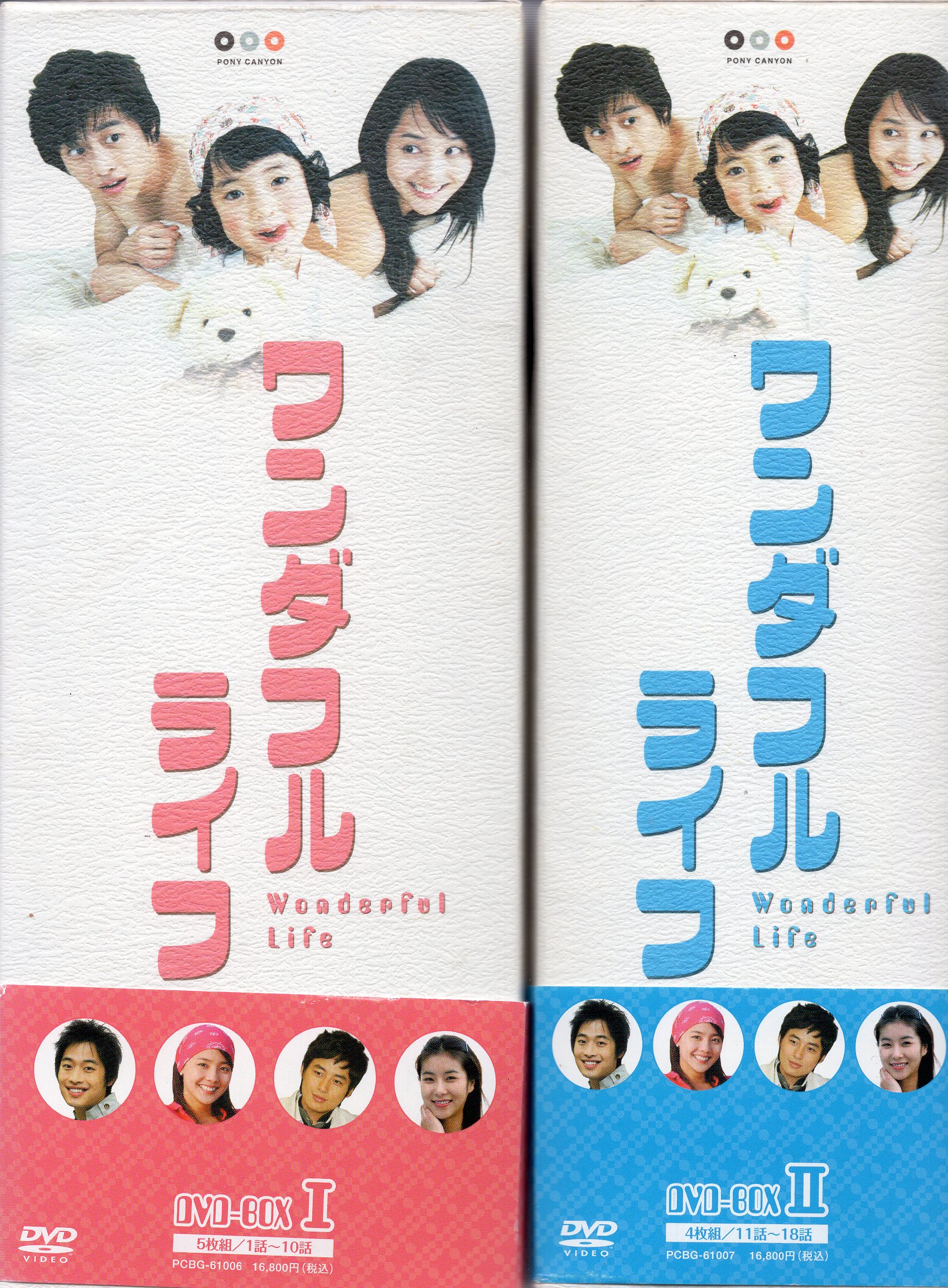 ライフ DVD-BOX〈6枚組〉北乃きい 福田沙紀 DVD すえのぶけいこ-