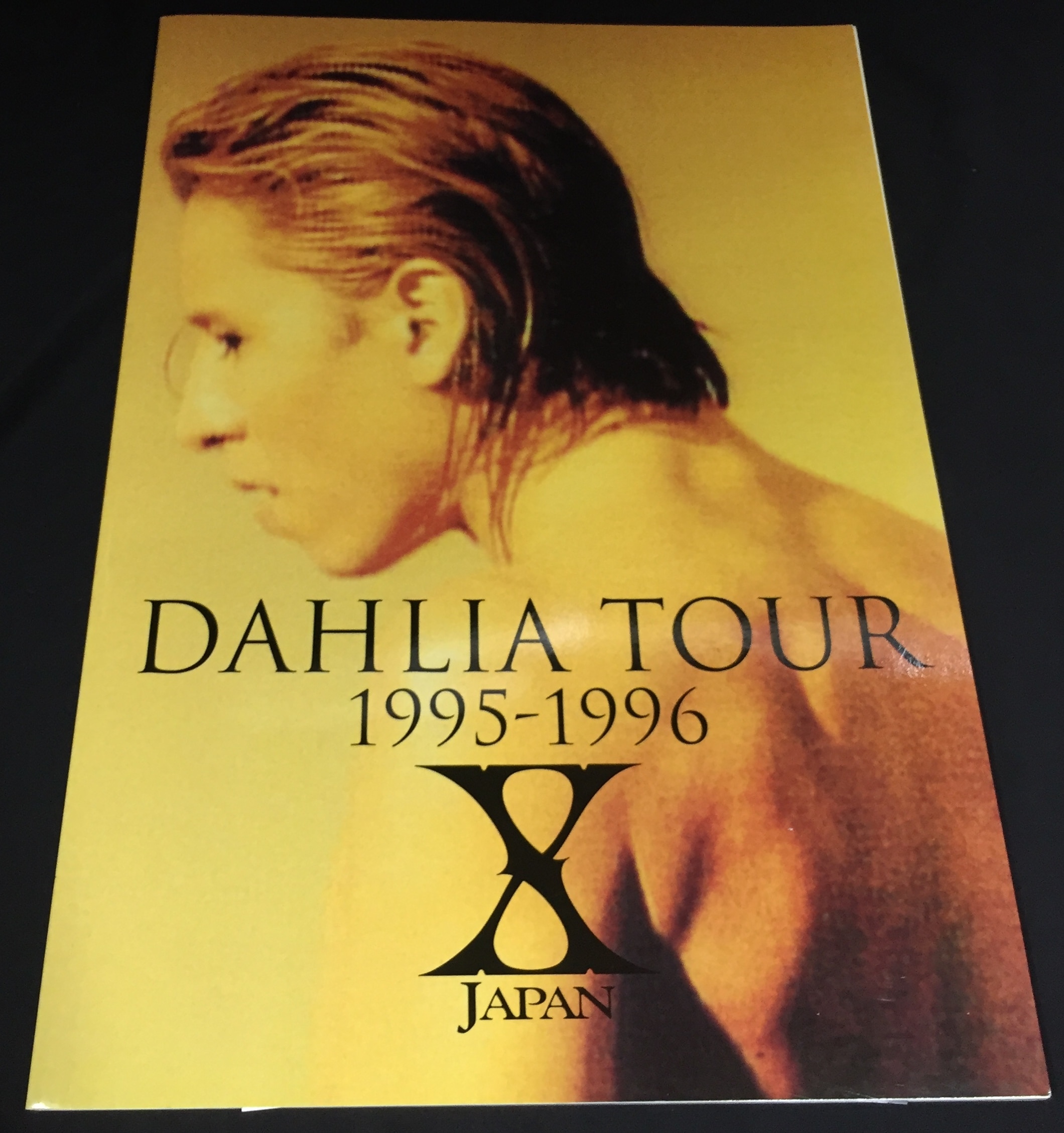 ポスター hide X JAPAN DAHLIA TOUR 1995 - 人、グループ別