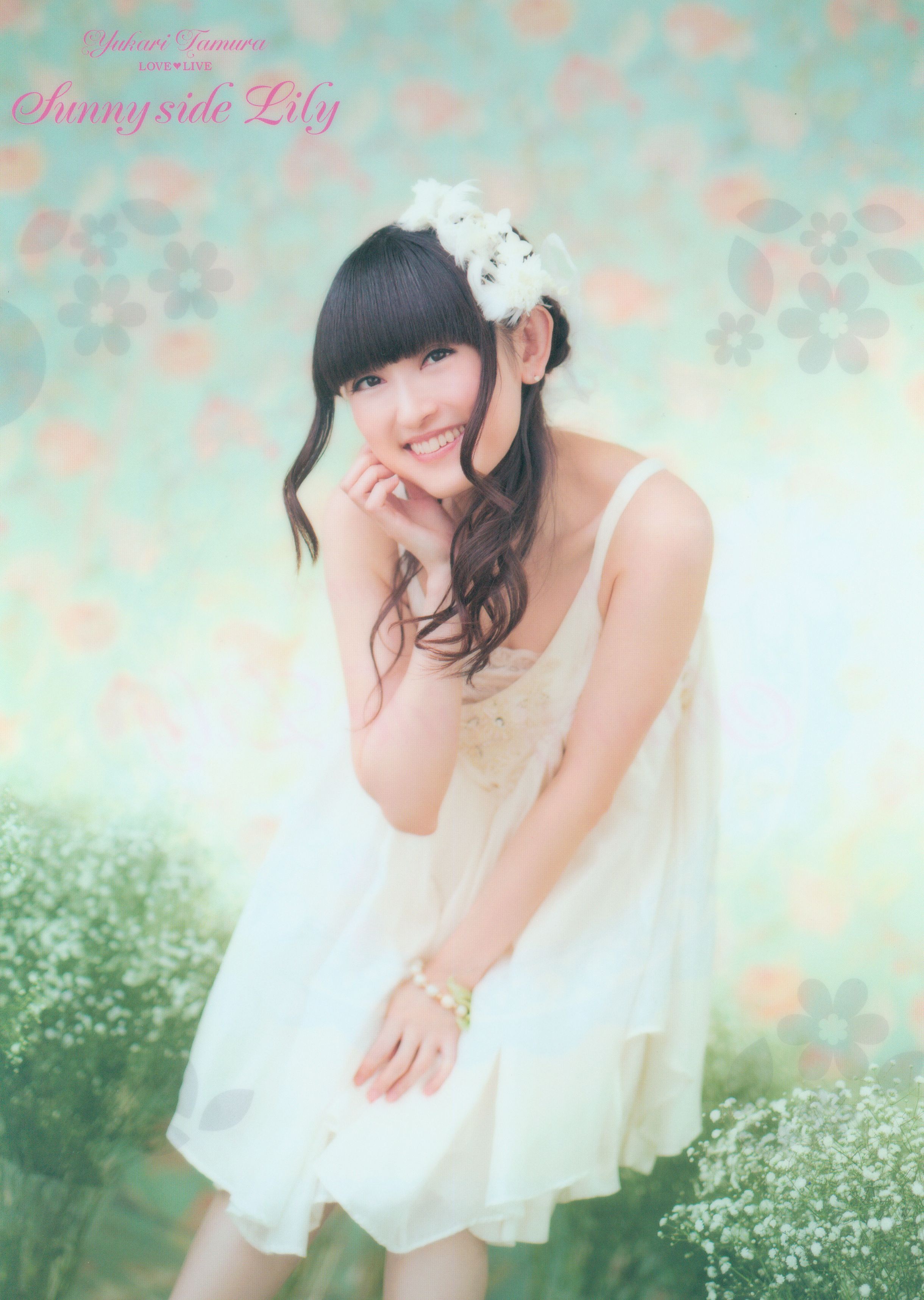 ゲーマーズ Sunny Side Lily Dvd 田村ゆかり クリアファイル ゲーマーズ まんだらけ Mandarake