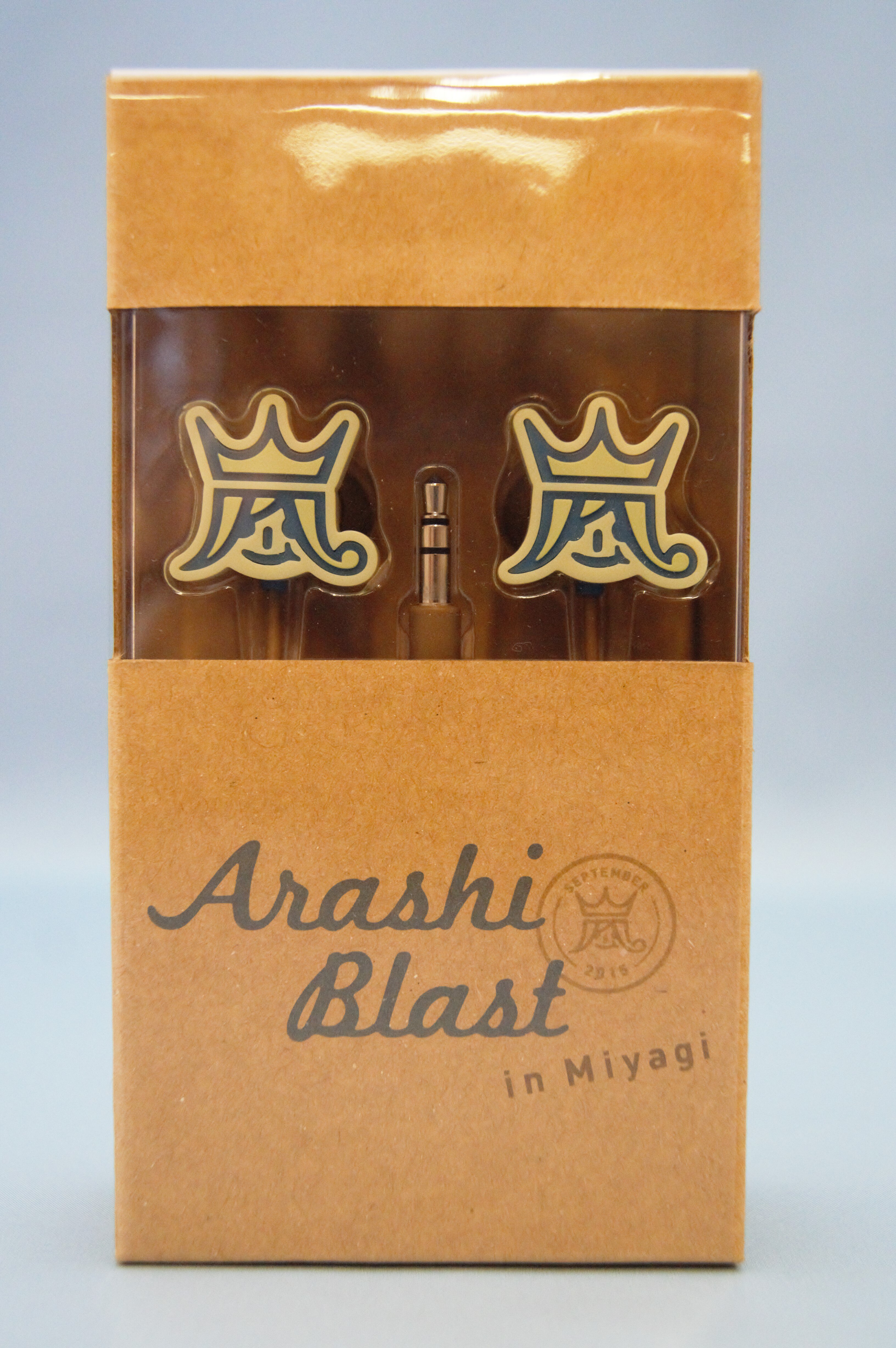 嵐 ARASHI BLAST in とりはずせ Miyagiレインポンチョ