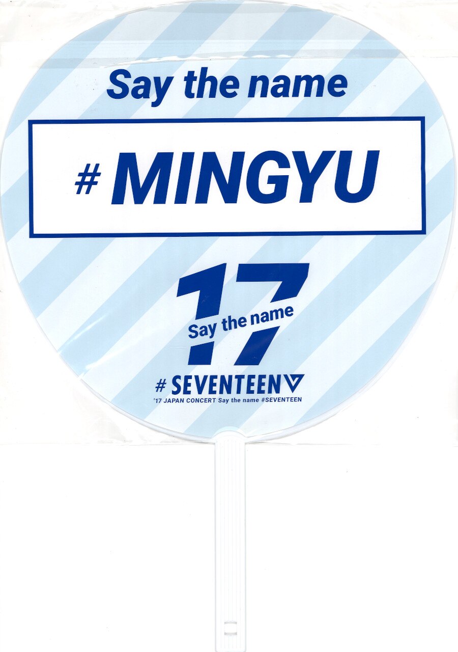 SEVENTEEN 2017 Japan Concert Say the name #SEVENTEEN MINGYU Fan