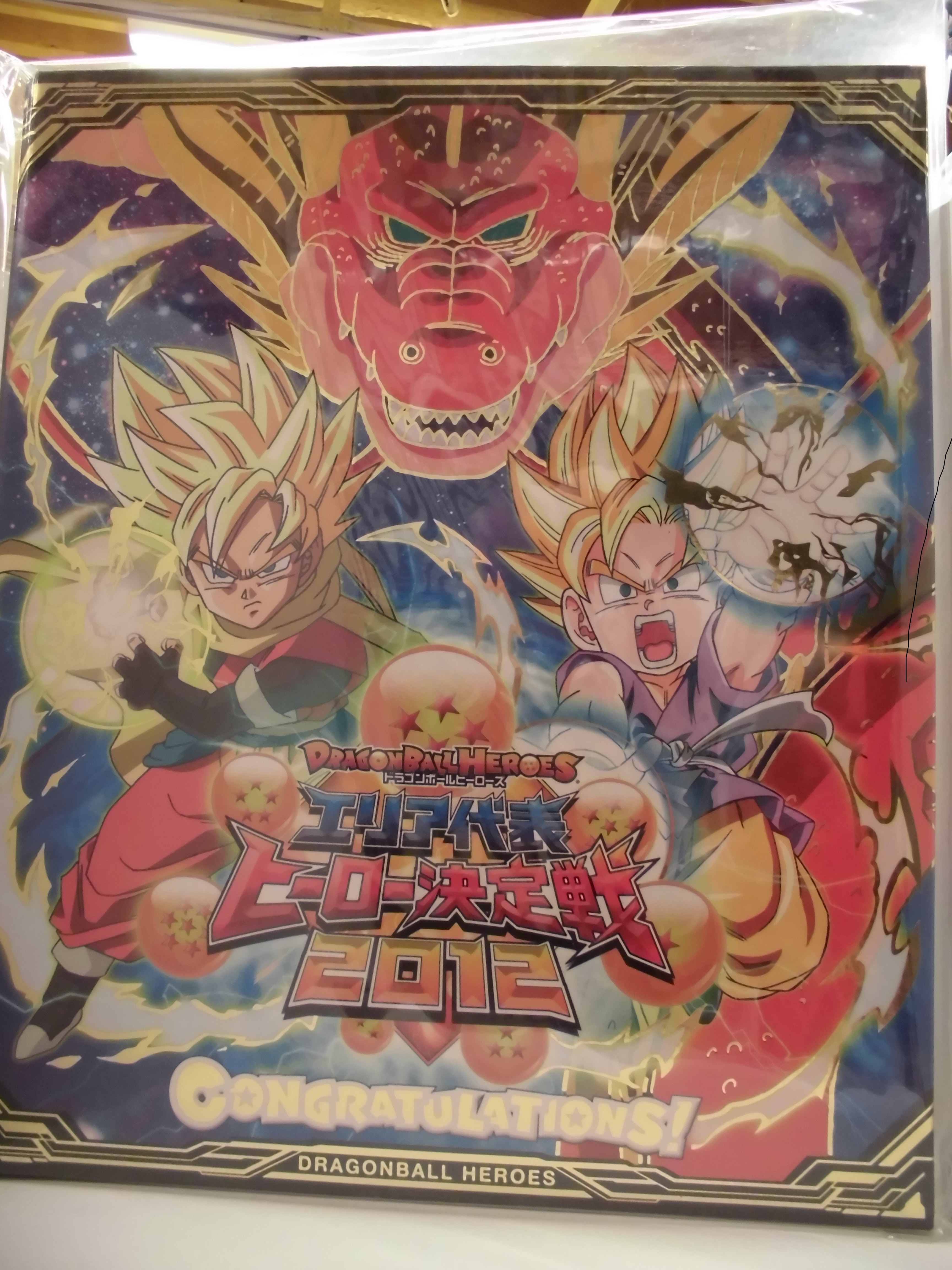 Dragon Ball Heroes Area Representative Hero Decision Battle 2012 Binder |  Mandarake Online Shop