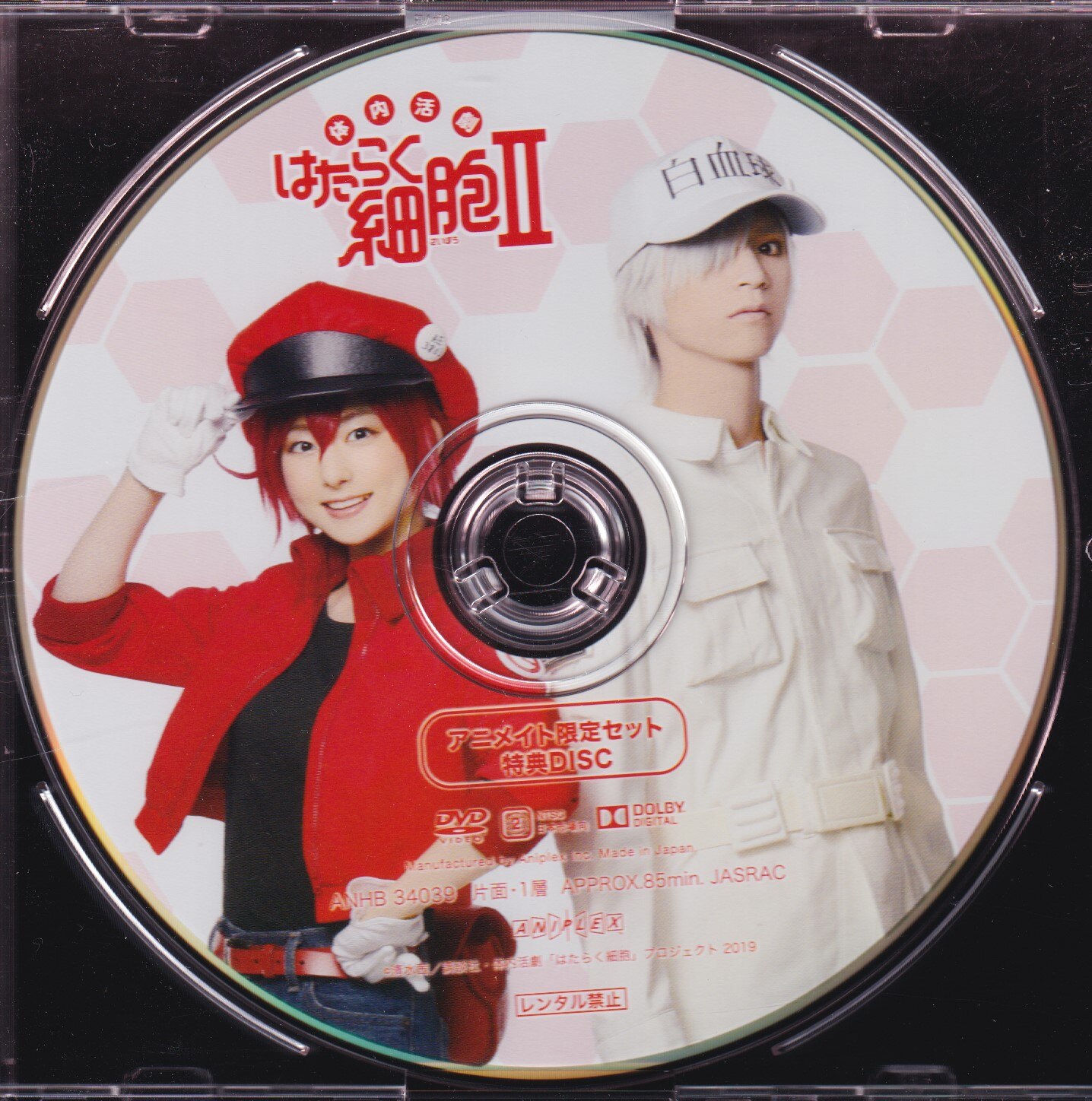 舞台dvd 体内活劇 はたらく細胞ii アニメイト限定セット特典disc まんだらけ Mandarake