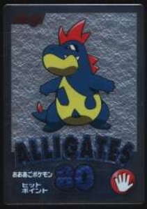 ゲットカード アリゲイツ