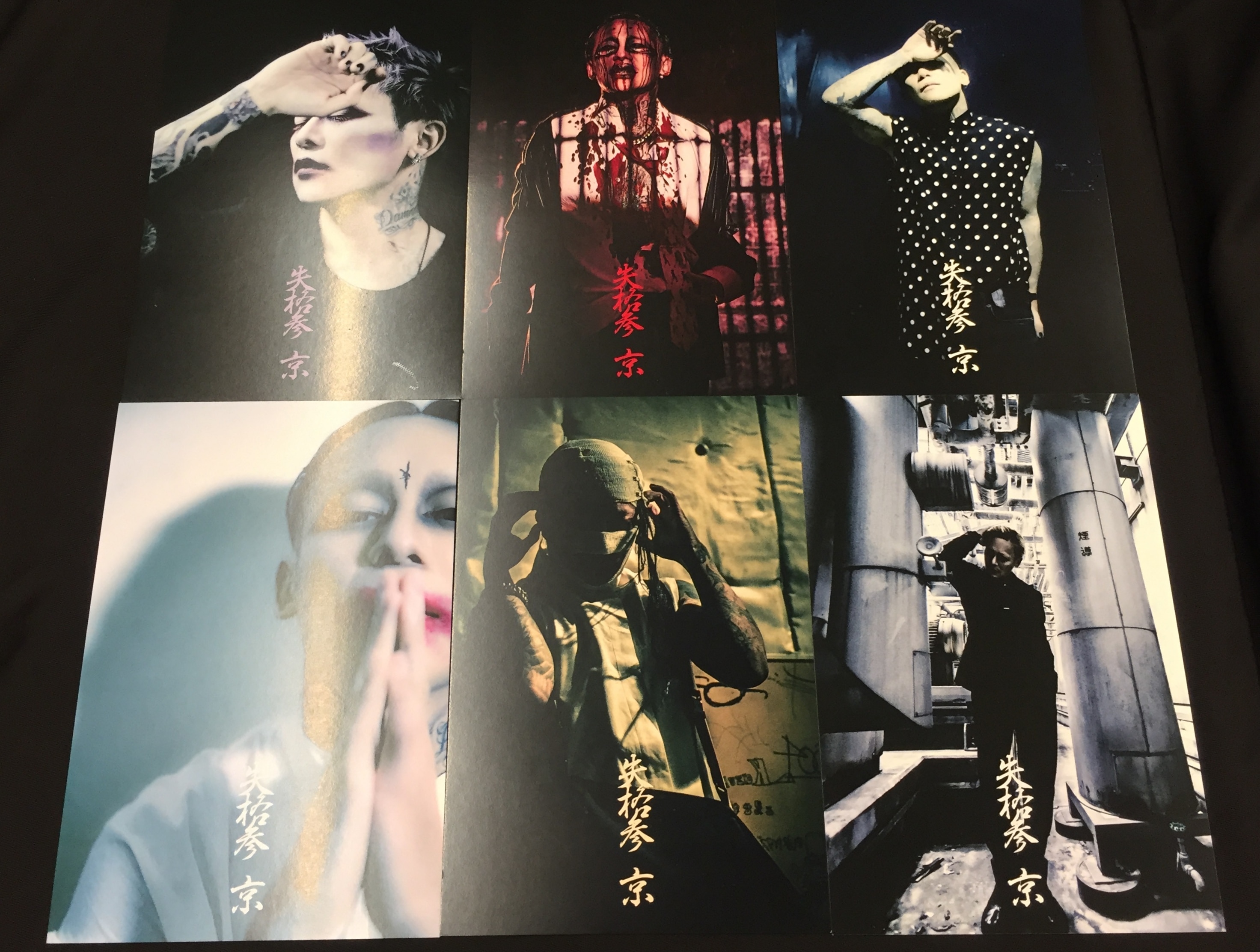 dir en grey 京 個展「失格参」複製作品 #8sukekiyo - ミュージシャン