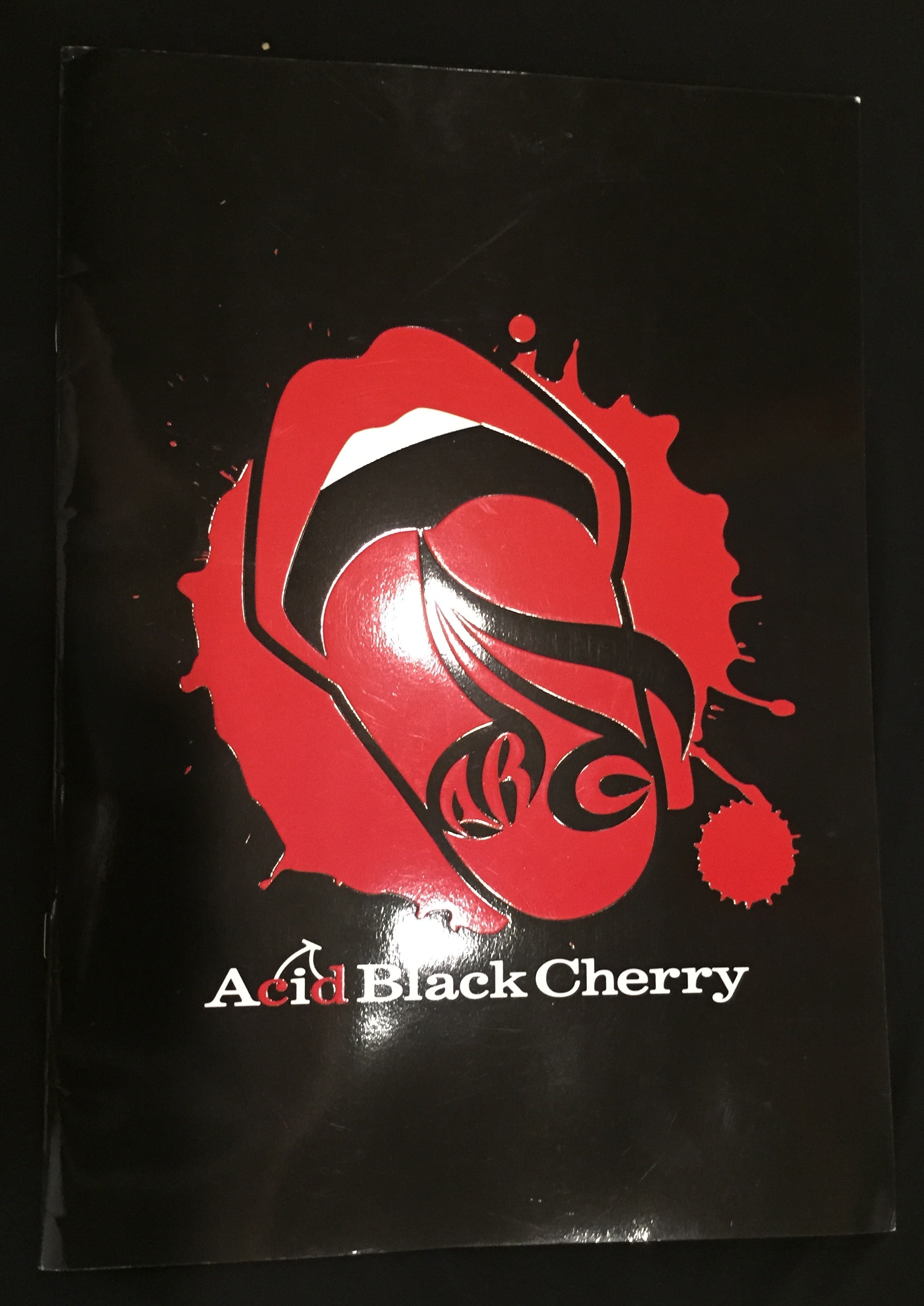 海外並行輸入正規品 Acid black cherry♡パンフ ミュージシャン