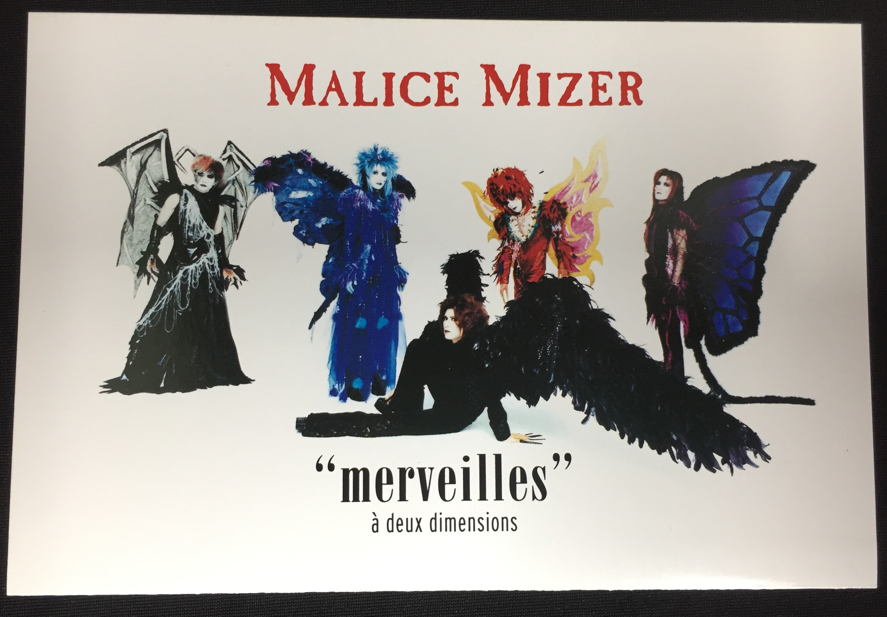 MALICE MIZER（マリスミゼル） 　 merveilles 写真集 Malice Mizer: “Merveilles” a` deux dimensions | Takeo Ogiso