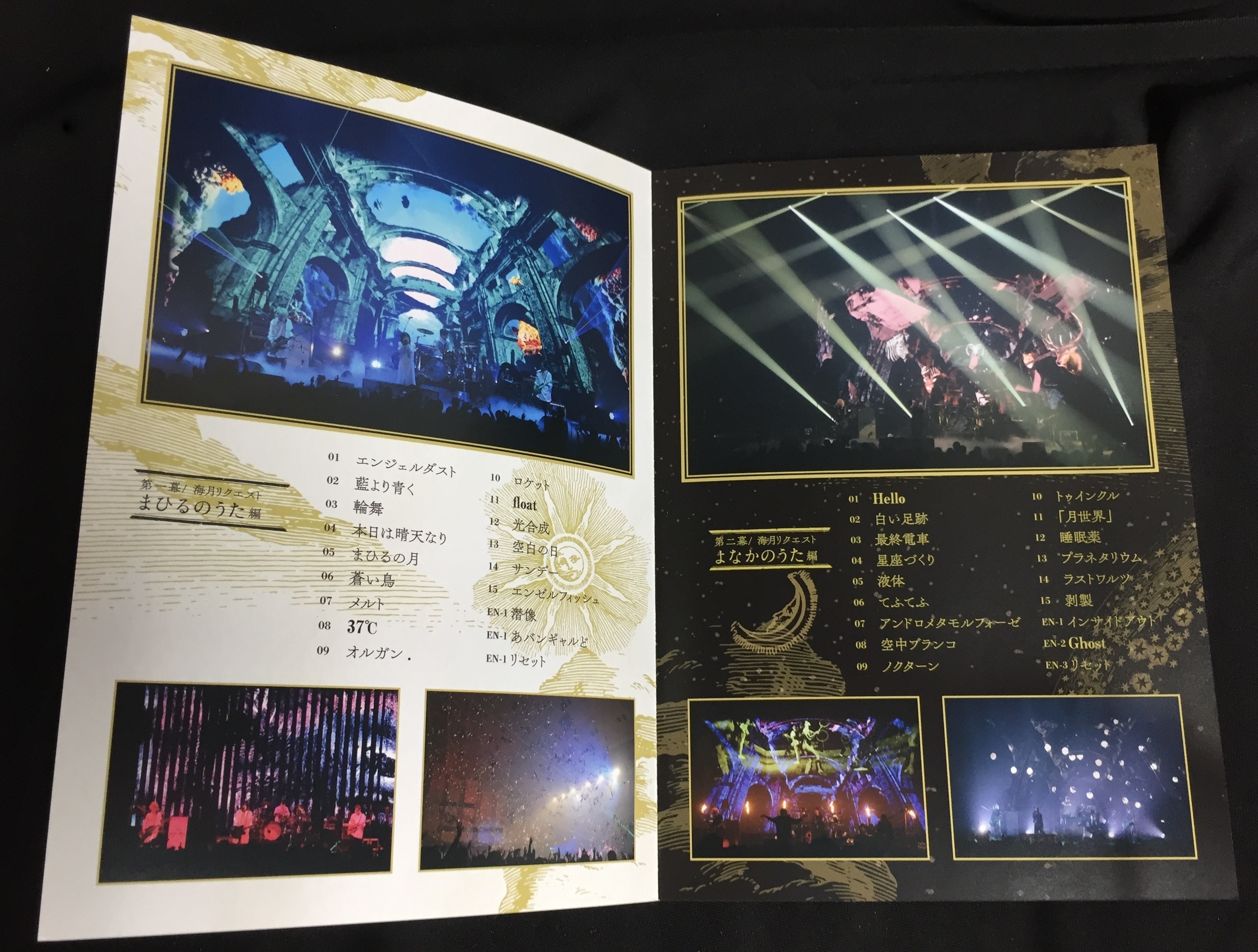 Plastic Tree 年末公演2019 ゆくプラくるプラ DVD 2枚組