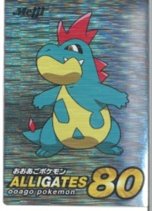ゲットカード アリゲイツ