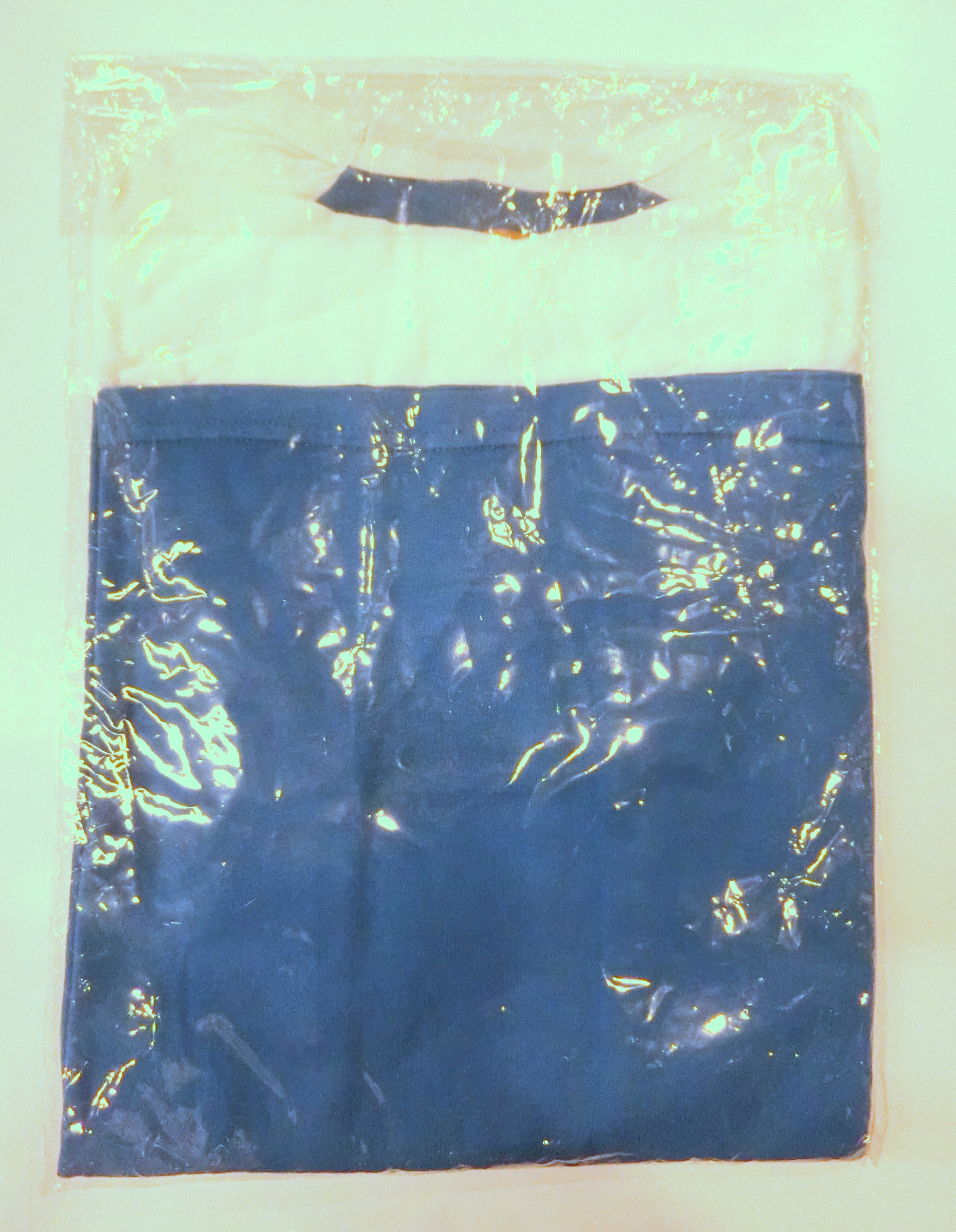 科学忍者隊ガッチャマン ガチャピンコラボ 科学忍者隊ガッチャピン ロゴtシャツ ｓサイズ まんだらけ Mandarake
