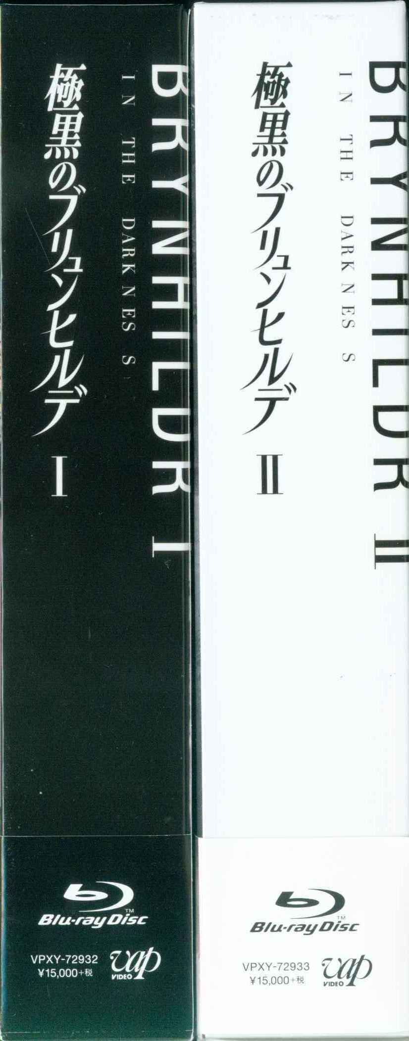 Gokukoku no Brynhildr in the Darkness Blu-ray Box 2 Booklet VPXY-72933