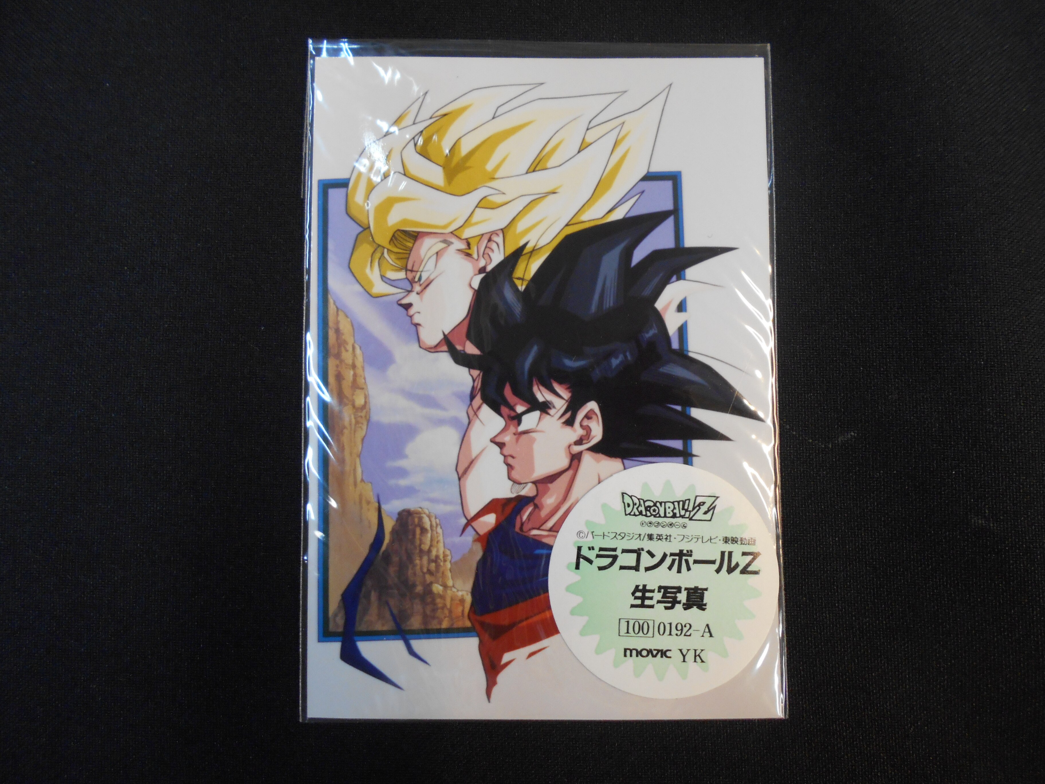 ドラゴンボールz 生写真 0192 A まんだらけ Mandarake