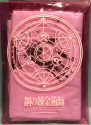 ZELDA ICHIBAN KUJI HYRULE LIFE STAINED GLASS LINK CARD CASE – Anime Pop
