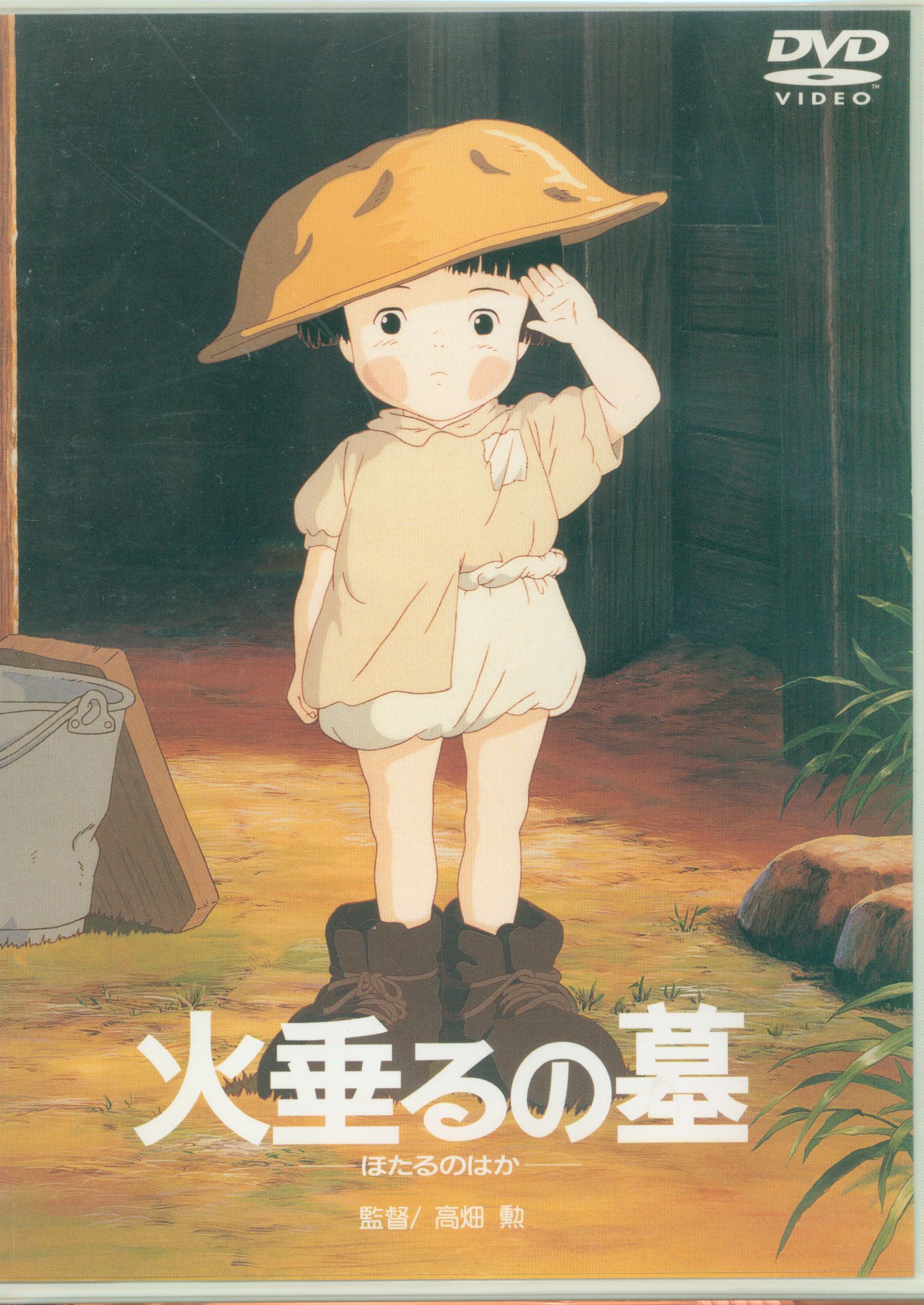 Grave of the fireflies, Dvd covers, Book cover