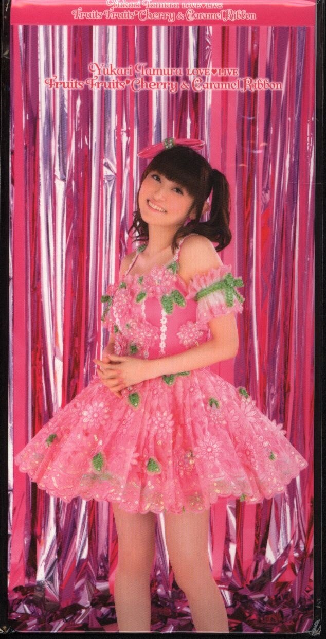 アニメイト Fruitsfruitscherry Caramelribbon 田村ゆかり 特典チケットホルダー アニメイト まんだらけ Mandarake