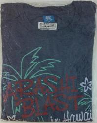 嵐 14年 BLAST in Hawaii Tシャツ *ハワイ会場販売版