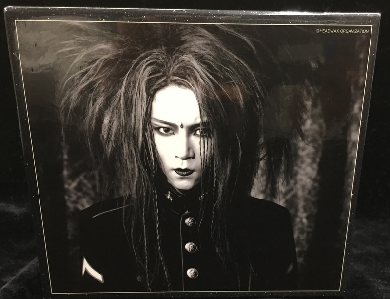 hide コンプリートシングルボックス(13CD+1DVD) PERFECT SINGLE BOX