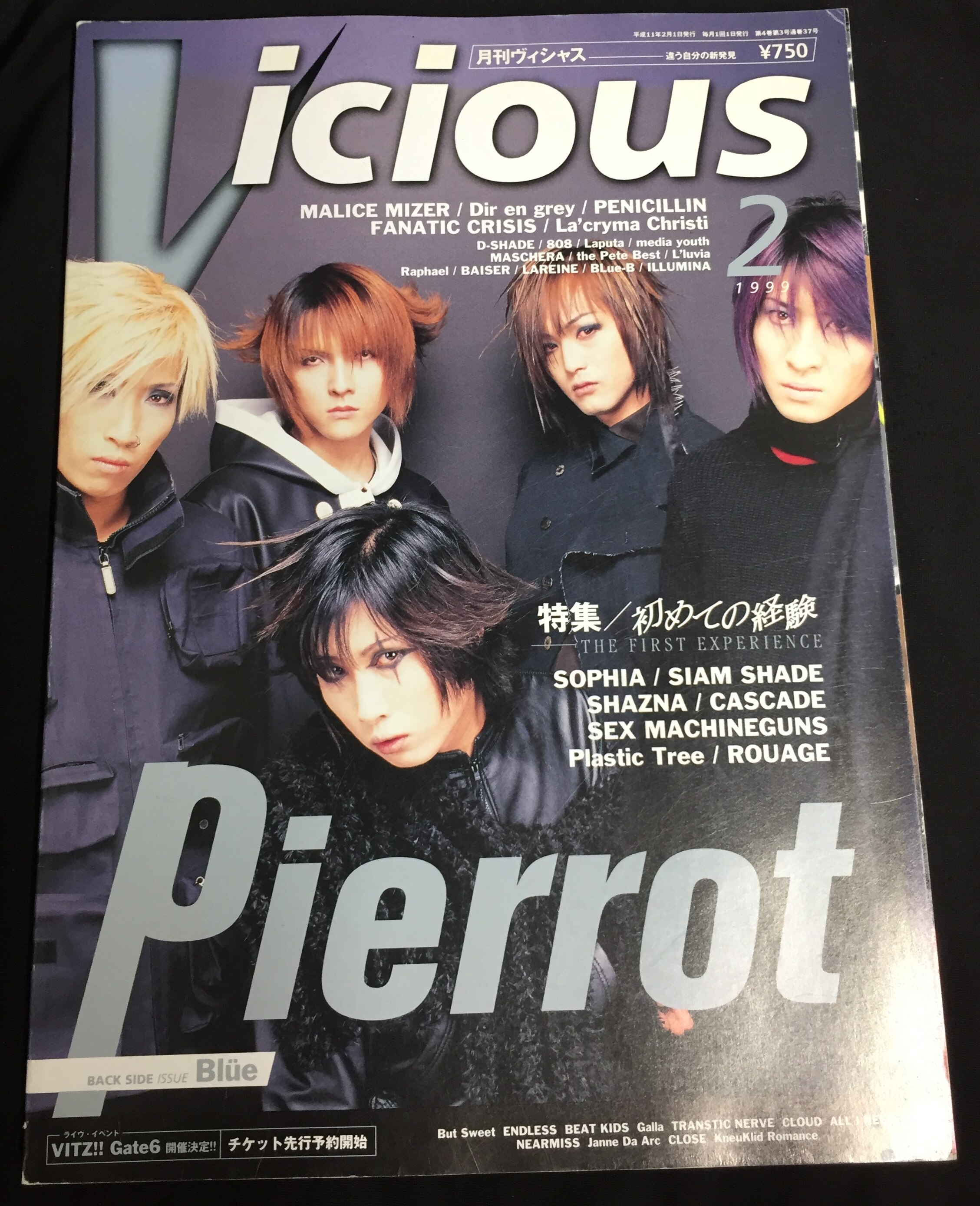 PIERROT/Blue 1999年2月1日発行/雑誌 月刊Vicious 1999年2月号 | ありある | まんだらけ MANDARAKE