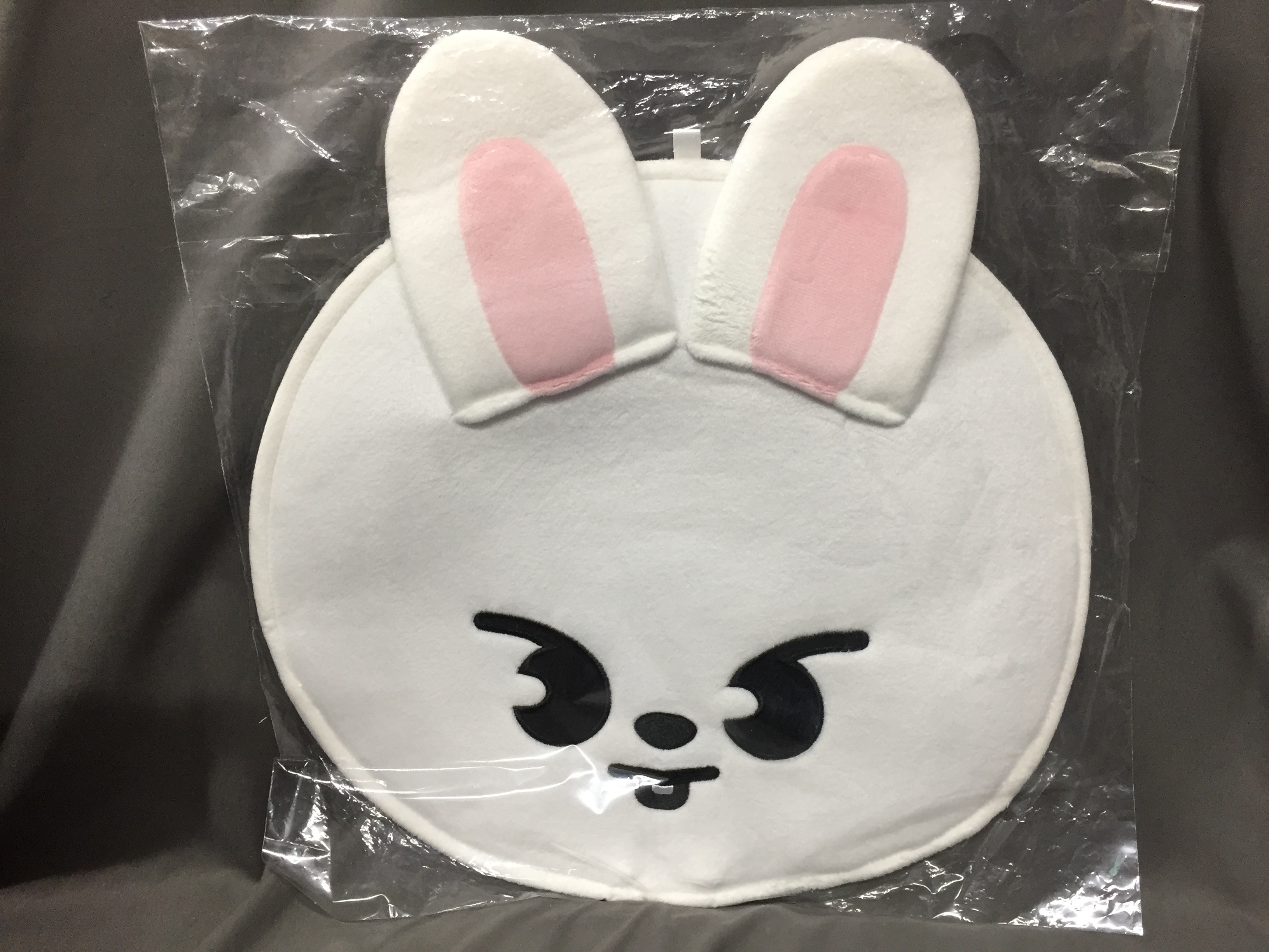 StrayKids 2023MANIAC ENCORE inJAPAN LeeKnow IMAGE PICKET CASE SKZOO
